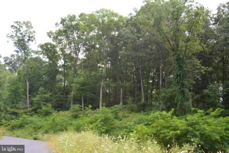 82 STRAW HOLLOW