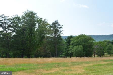 82 STRAW HOLLOW