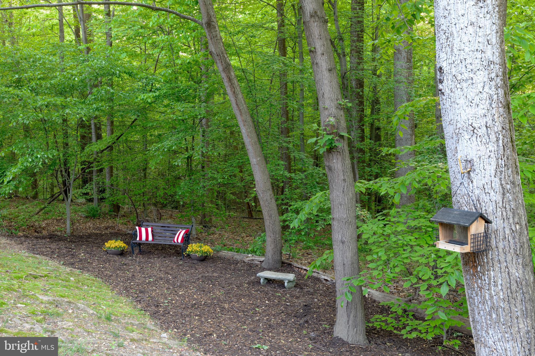 TRIPLE RIDGE - Residential