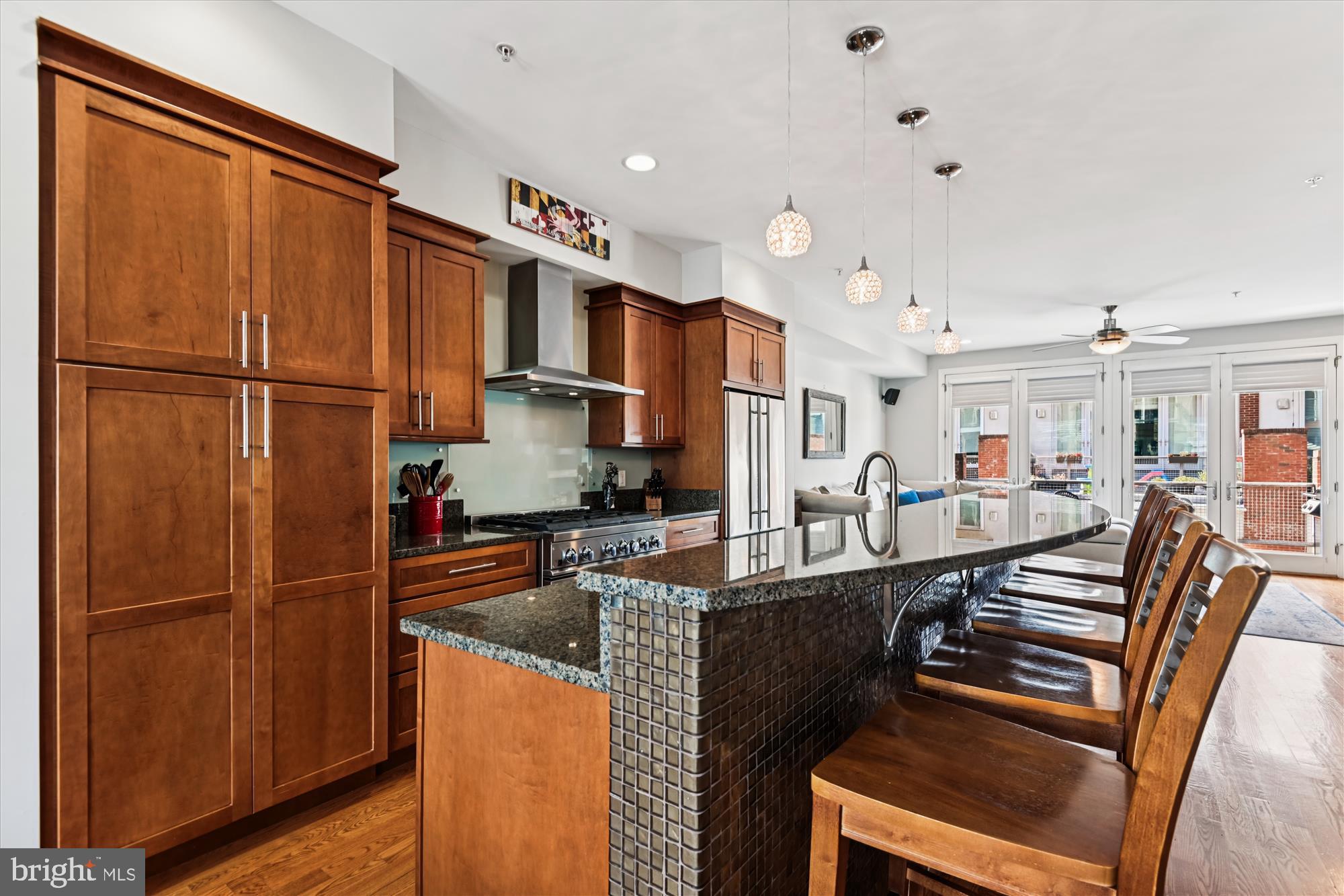 LOCUST POINT - Residential