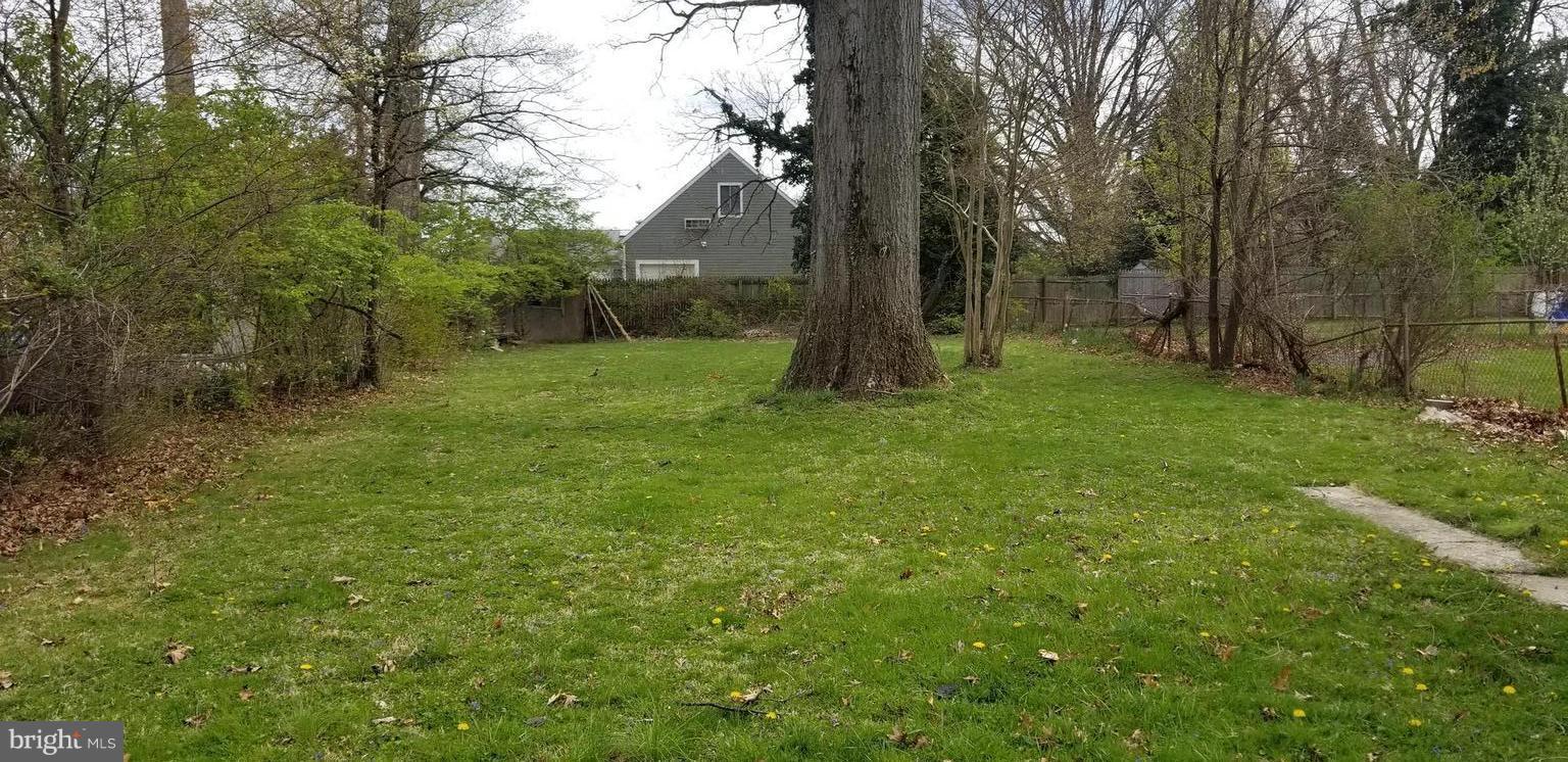 LINCOLN PARK - Residential