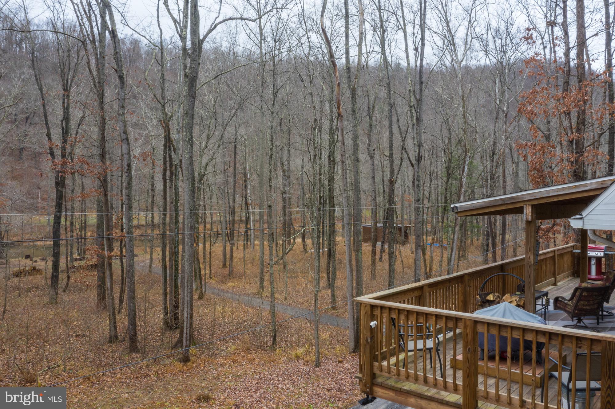 CACAPON RIVER COLONY - Residential