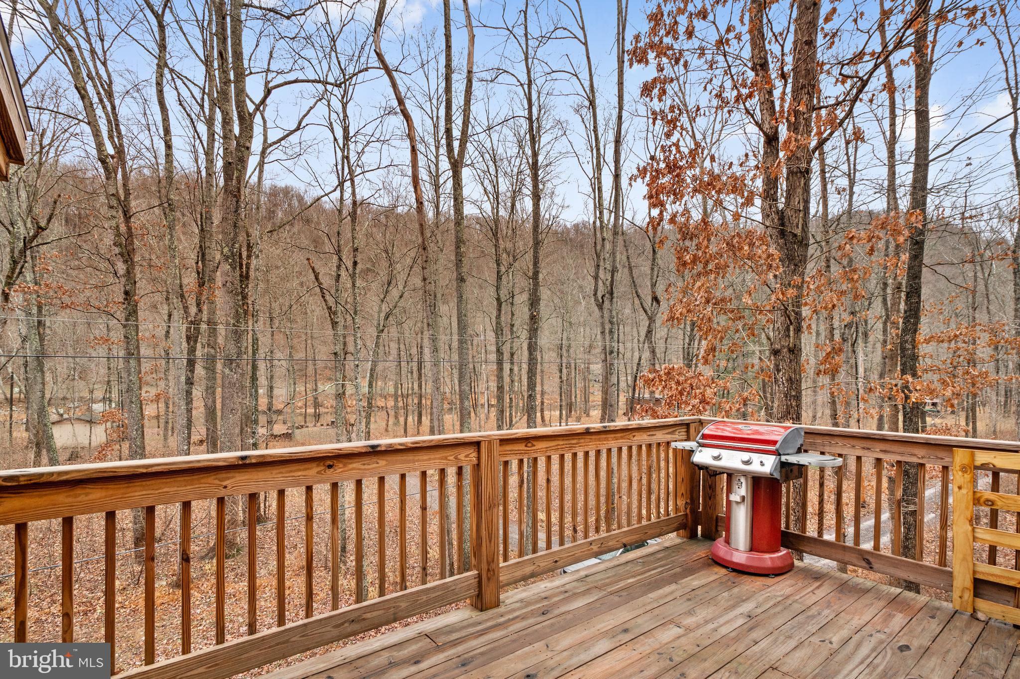 CACAPON RIVER COLONY - Residential