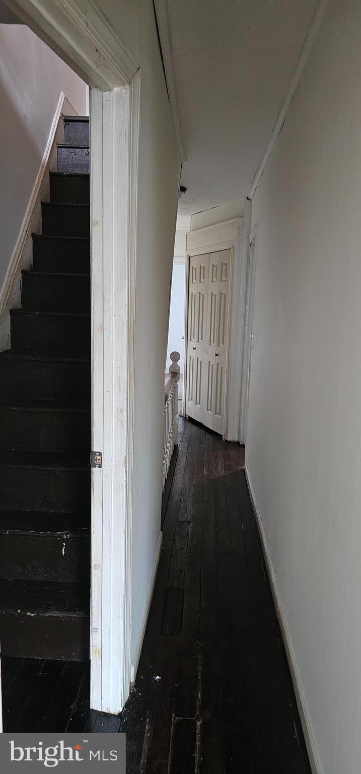 369 SAINT JOES AVENUE