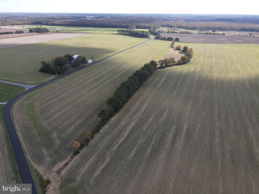 Welcome to Lucks Drive - here you have a 221+ acre farm with home and outbuildings. The property has road frontage on three separate roads. A two story brick farm house is situated on the land along with a barn, workshop and a machine shed as well as a few other structures. Roughly 170+/- acres of tillable land currently being leased.