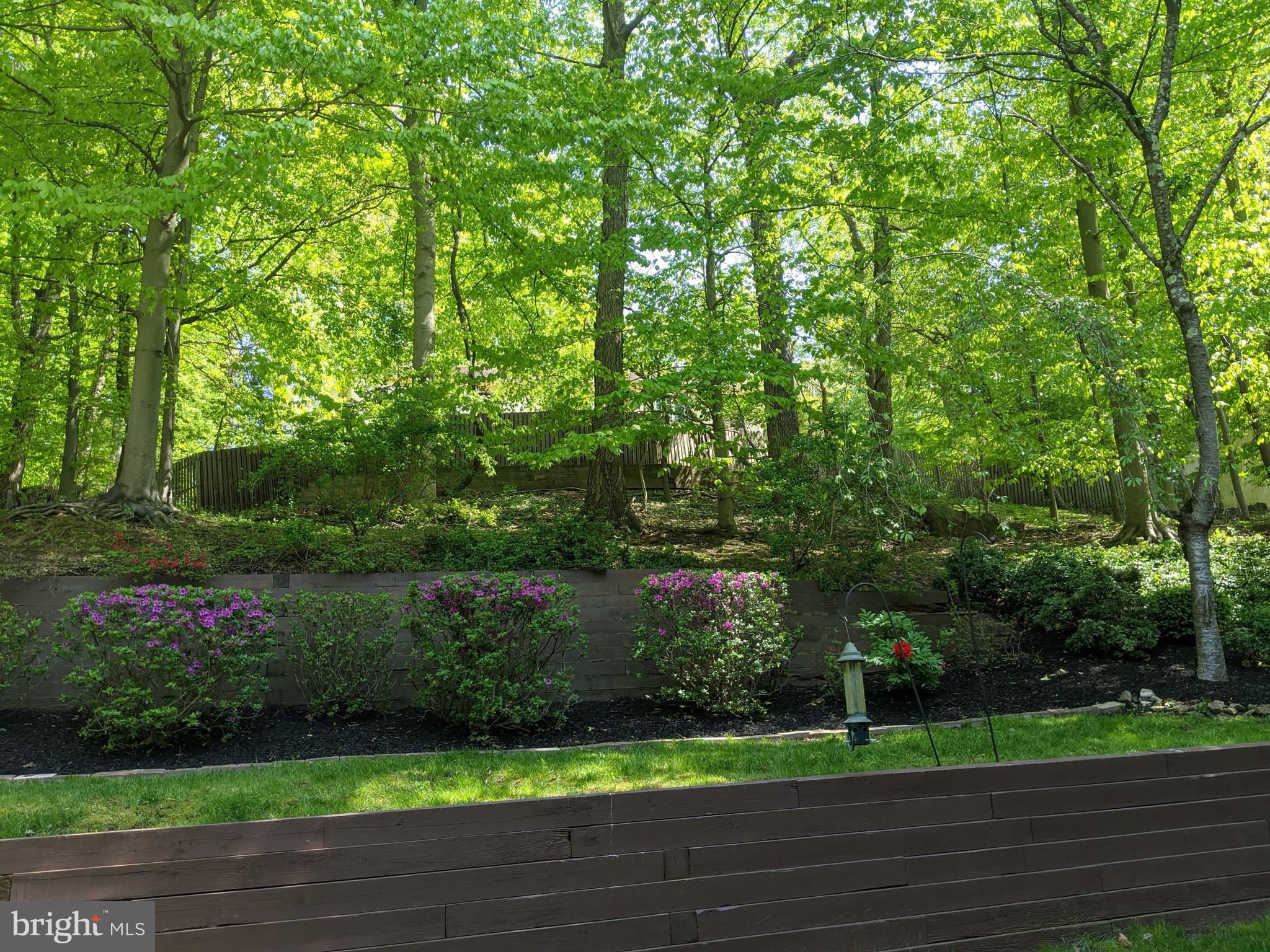 NEWTOWN SQ - Residential Lease