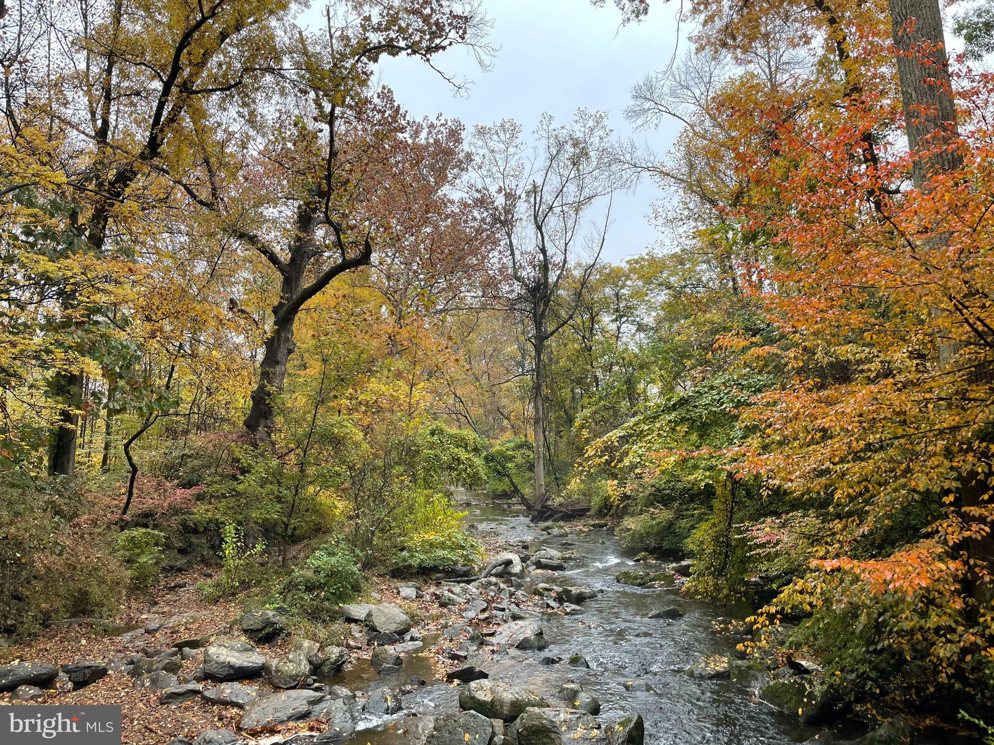 NEWTOWN SQ - Residential Lease