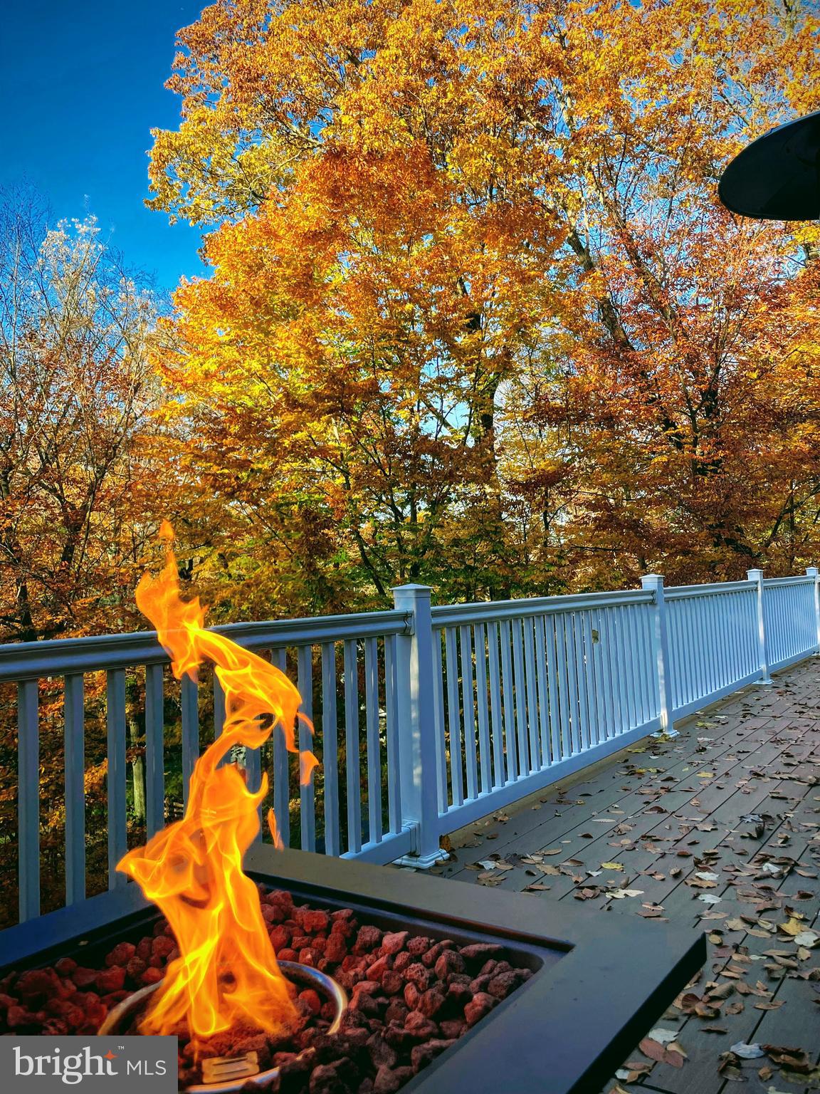 NEWTOWN SQ - Residential Lease