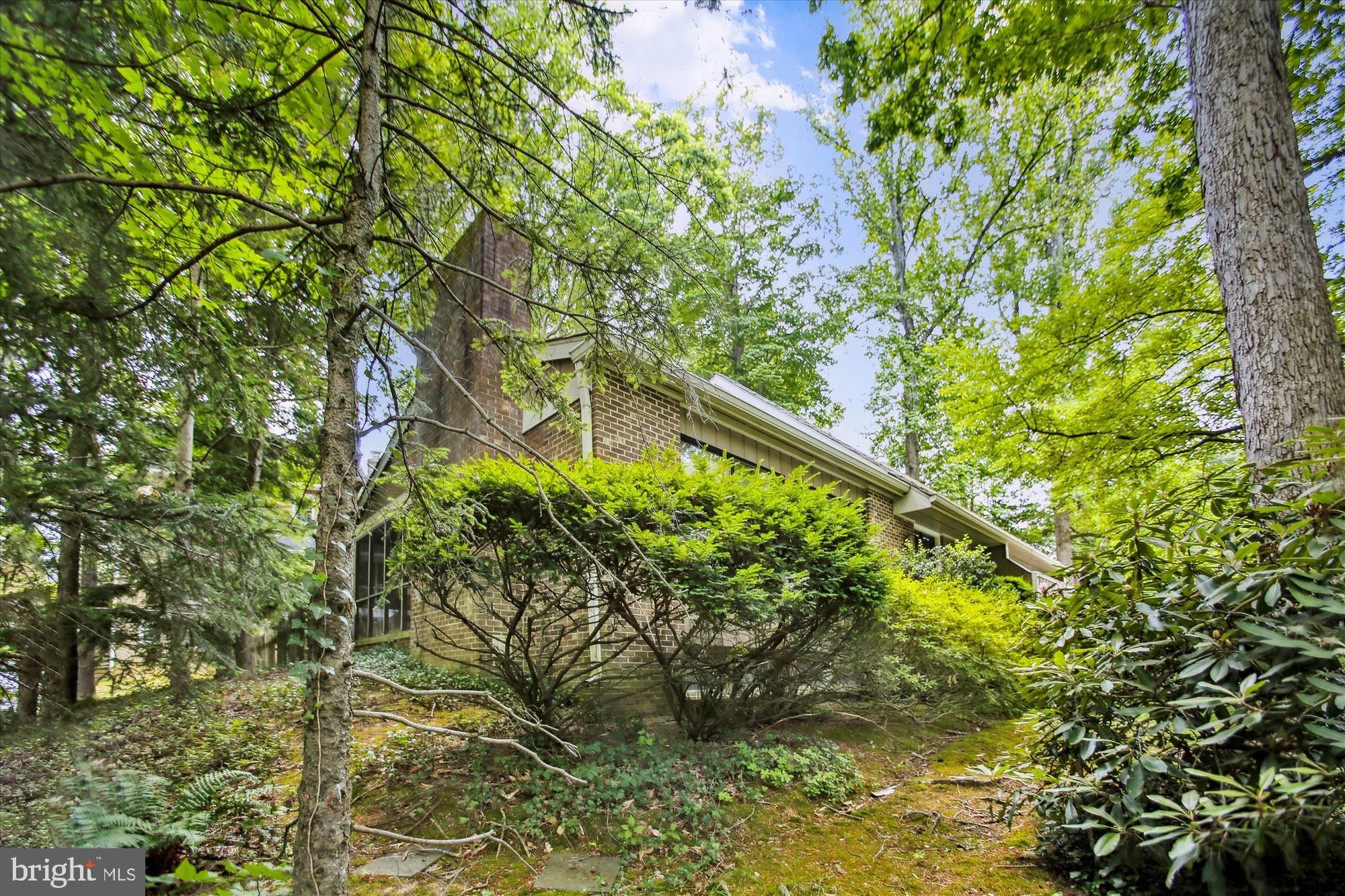CHAIN BRIDGE FOREST - Residential