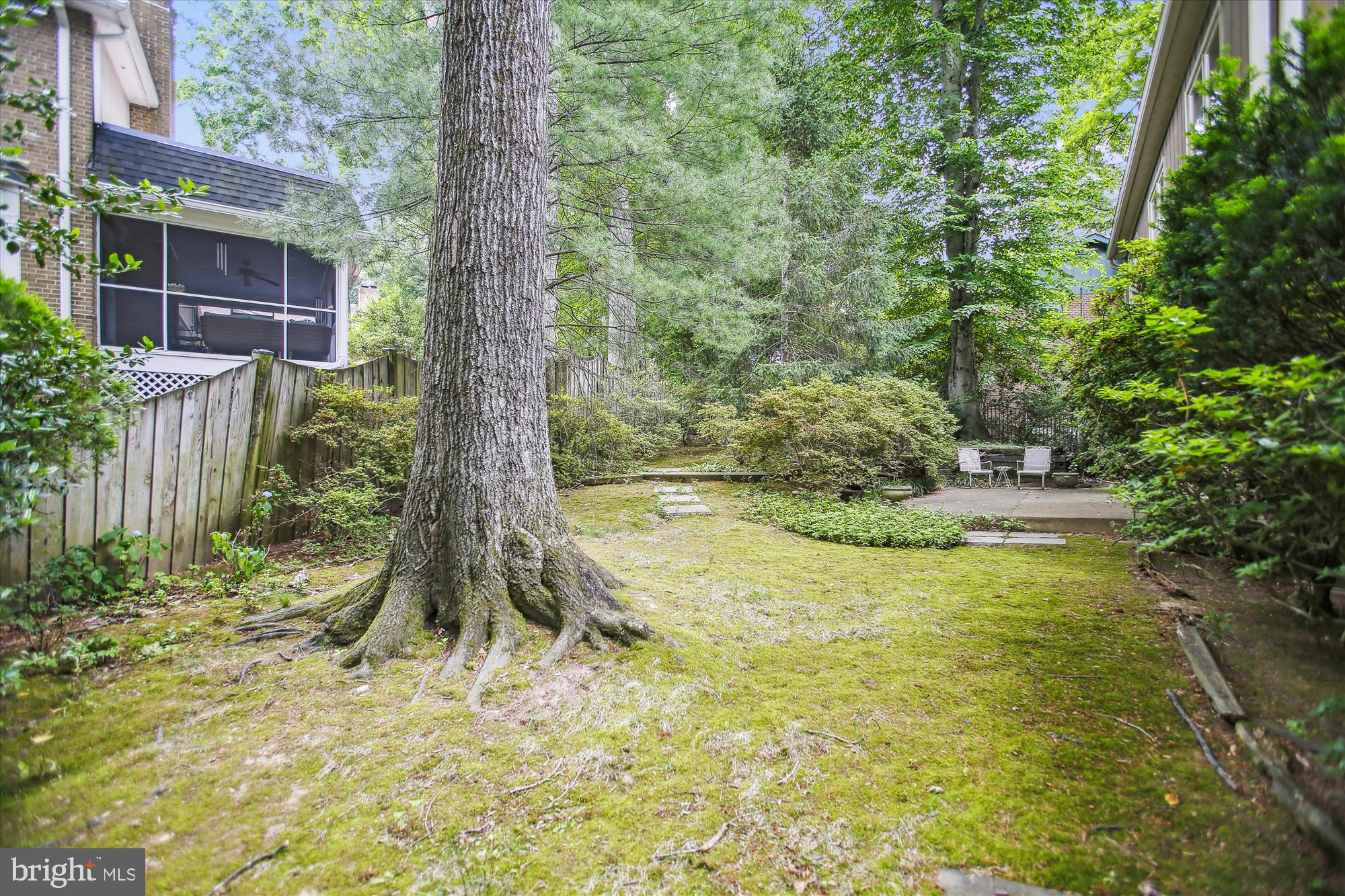 CHAIN BRIDGE FOREST - Residential