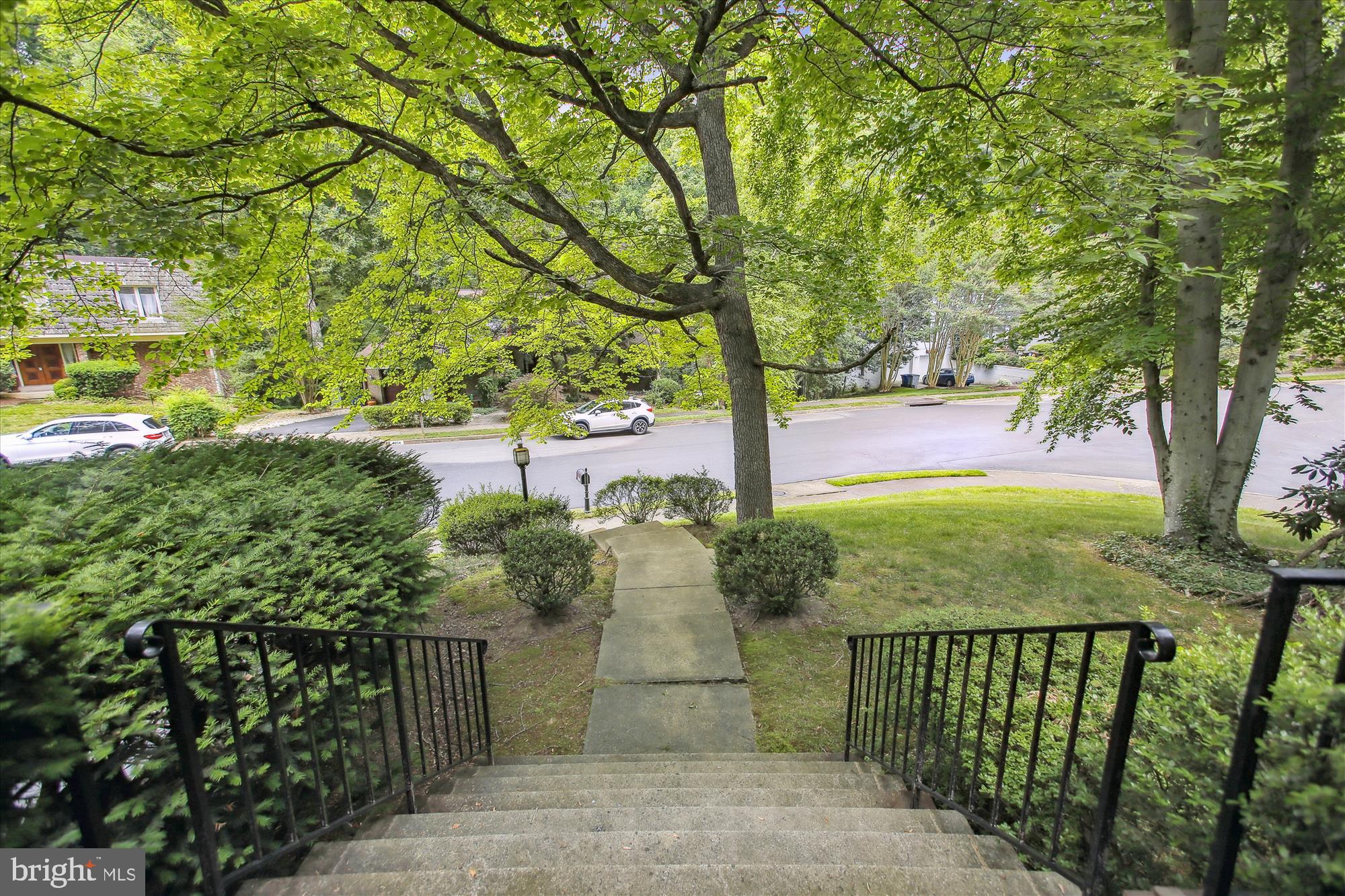 CHAIN BRIDGE FOREST - Residential