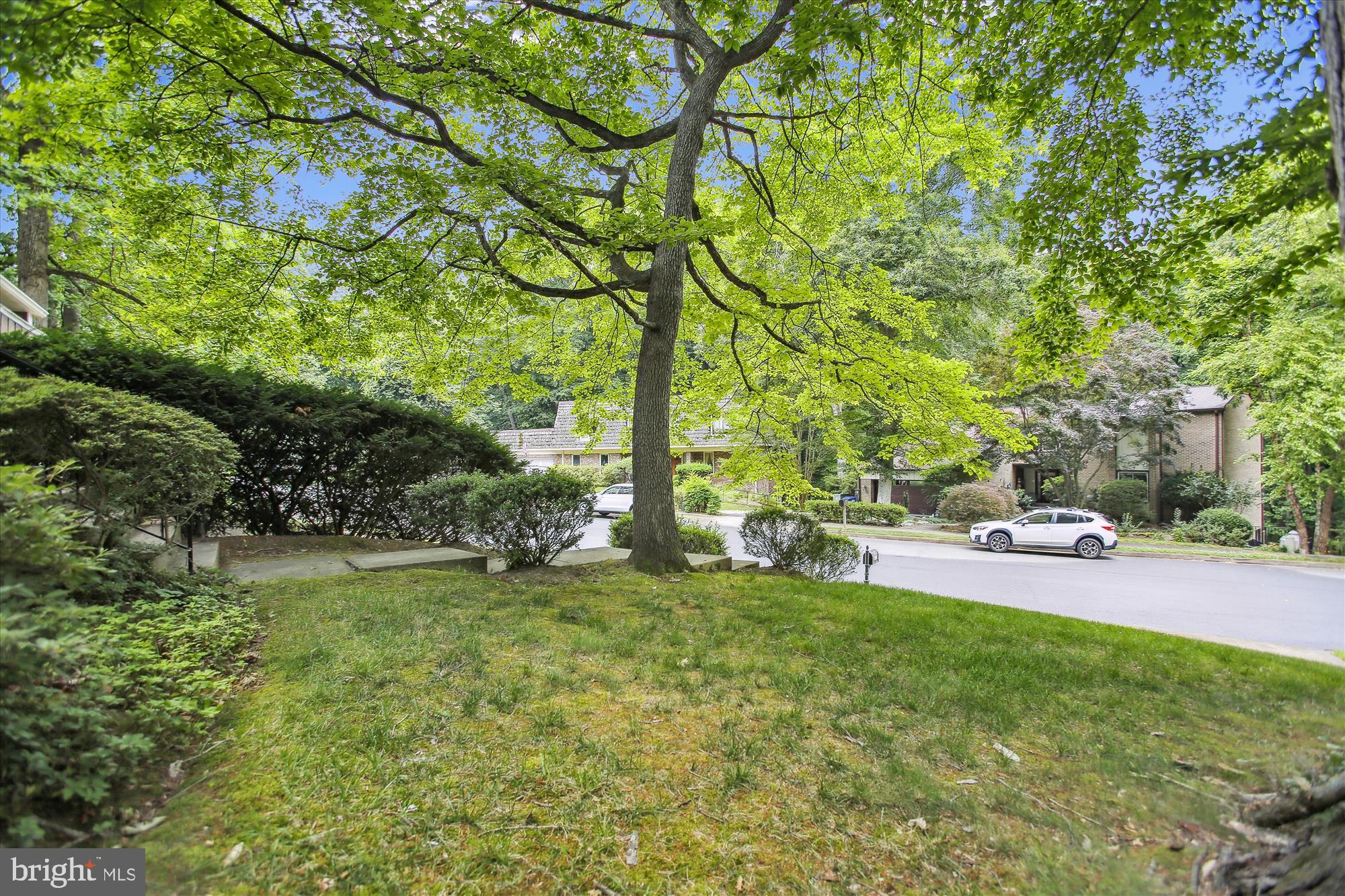 CHAIN BRIDGE FOREST - Residential