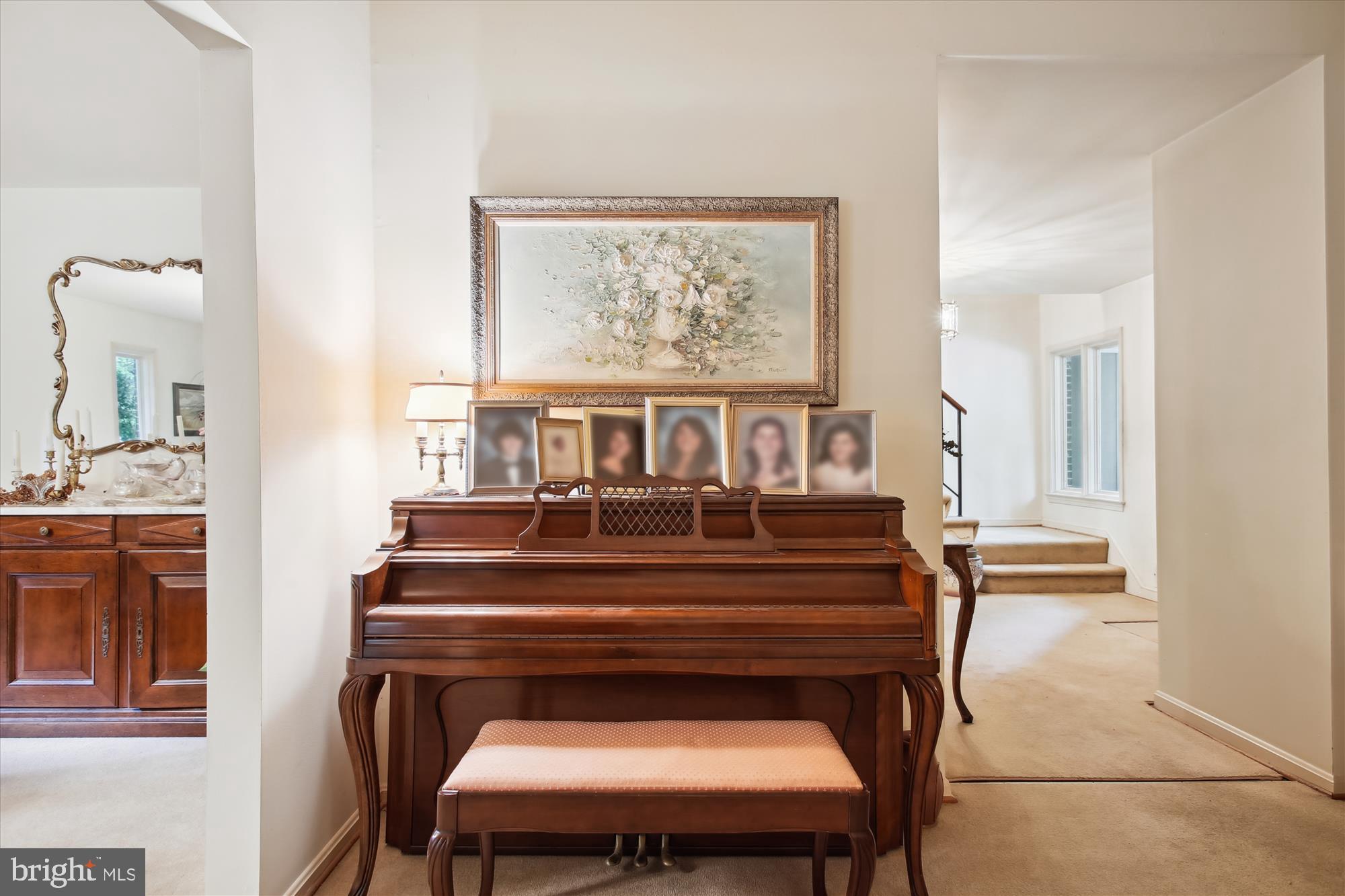 CHAIN BRIDGE FOREST - Residential