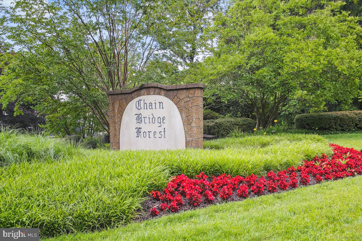 CHAIN BRIDGE FOREST - Residential