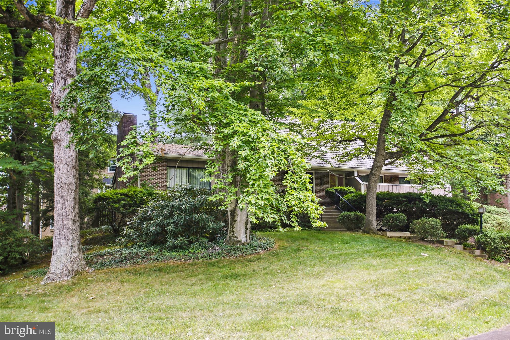 CHAIN BRIDGE FOREST - Residential
