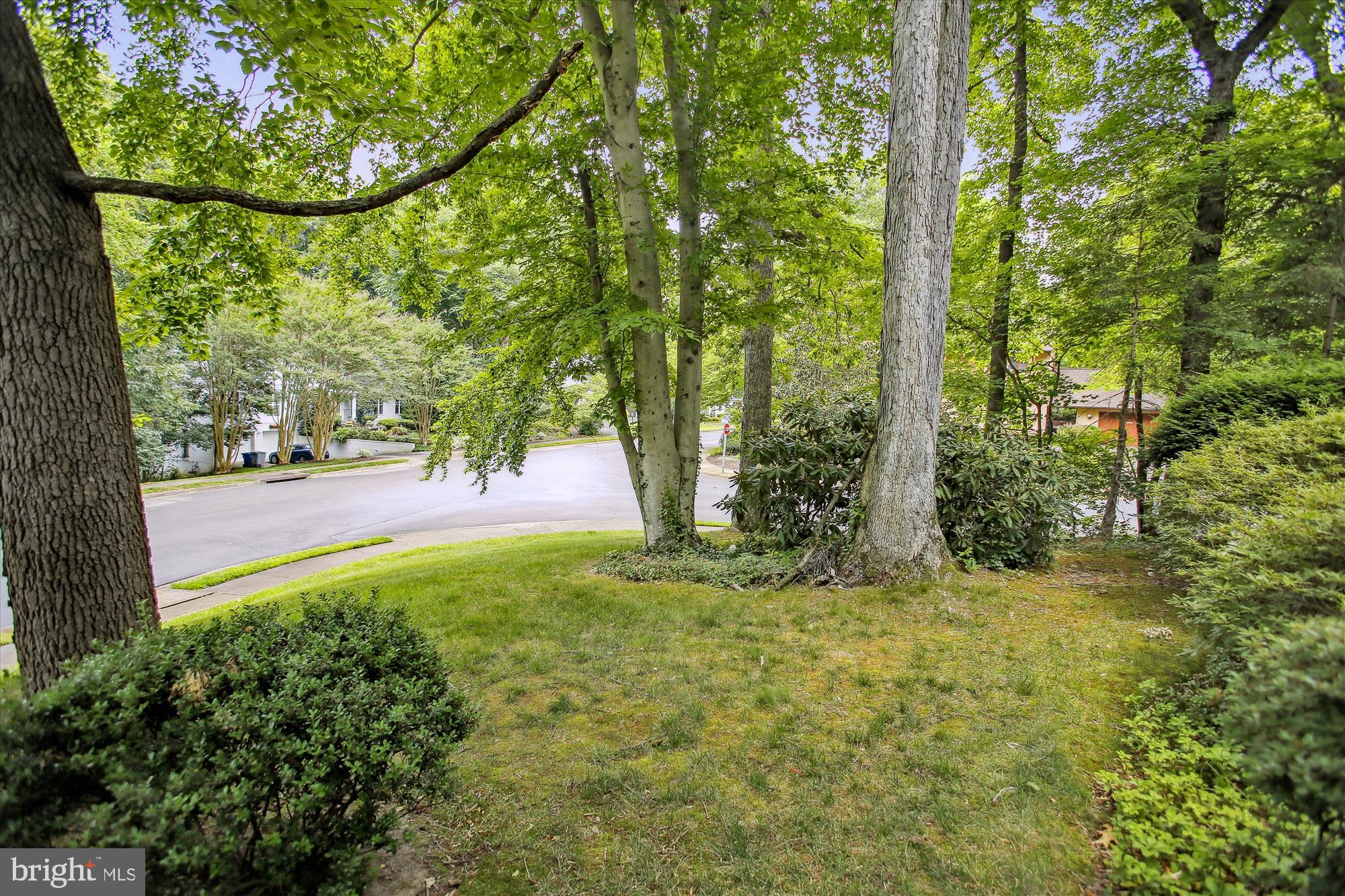 CHAIN BRIDGE FOREST - Residential