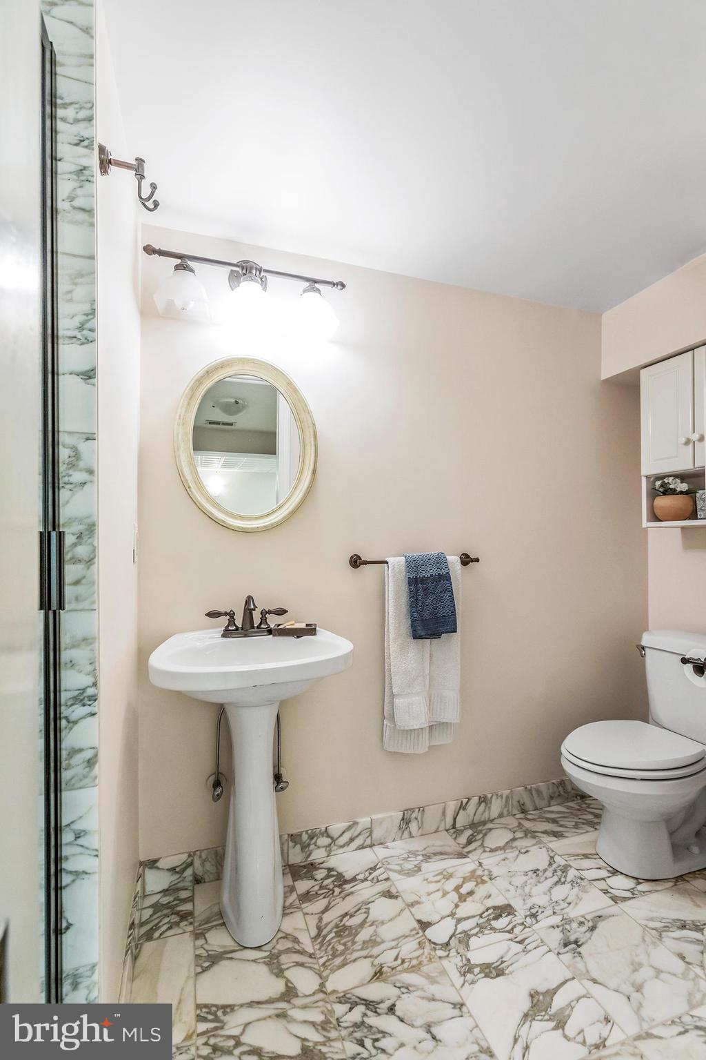 CHEVY CHASE VILLAGE - Residential