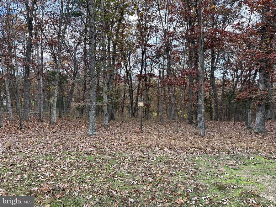 LOOKING FOR THE PERFECT BUILDING SITE?  NICE LEVEL BUILDING LOT CENTRALLY LOCATED BETWEEN KEYSER AND FORT ASHBY.  WELL ESTABLISHED SUBDIVISION. WONDERFUL MOUNTAIN AND PASTORIAL VISTAS CONVEY! SENSIBLE  COVENANTS TO PROTECT YOUR INVESTMENT. YEAR ROUND MAINTAINED ROADS. PUBLIC WATER WILL BE AVAILABLE SOON.  ROAD FRONTAGE ON 2 ROADS. GENTLY SLOPED TO LEVEL LOT. SEVERAL BUILDING SITES TO CHOOSE FROM. PRIVACY FOLLAGE IN REAR OF LOT.