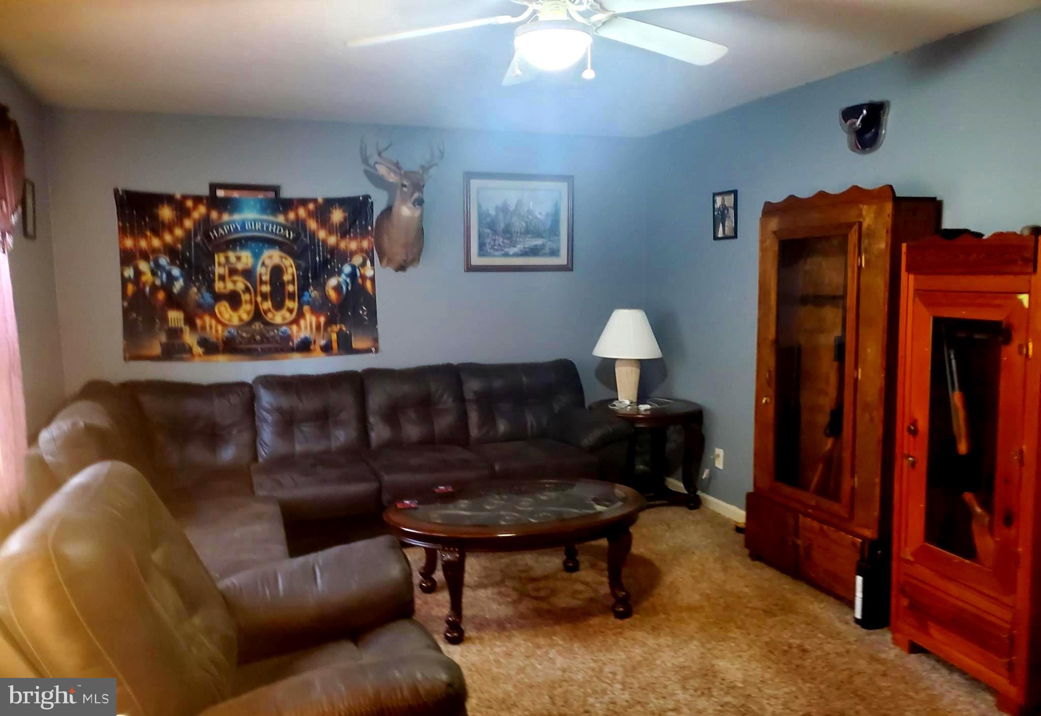 86 WHITETAIL LANE