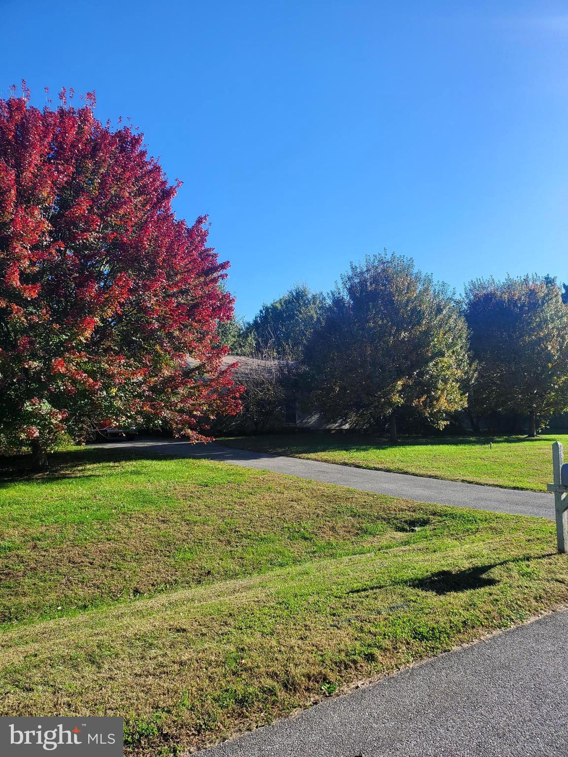 86 WHITETAIL LANE