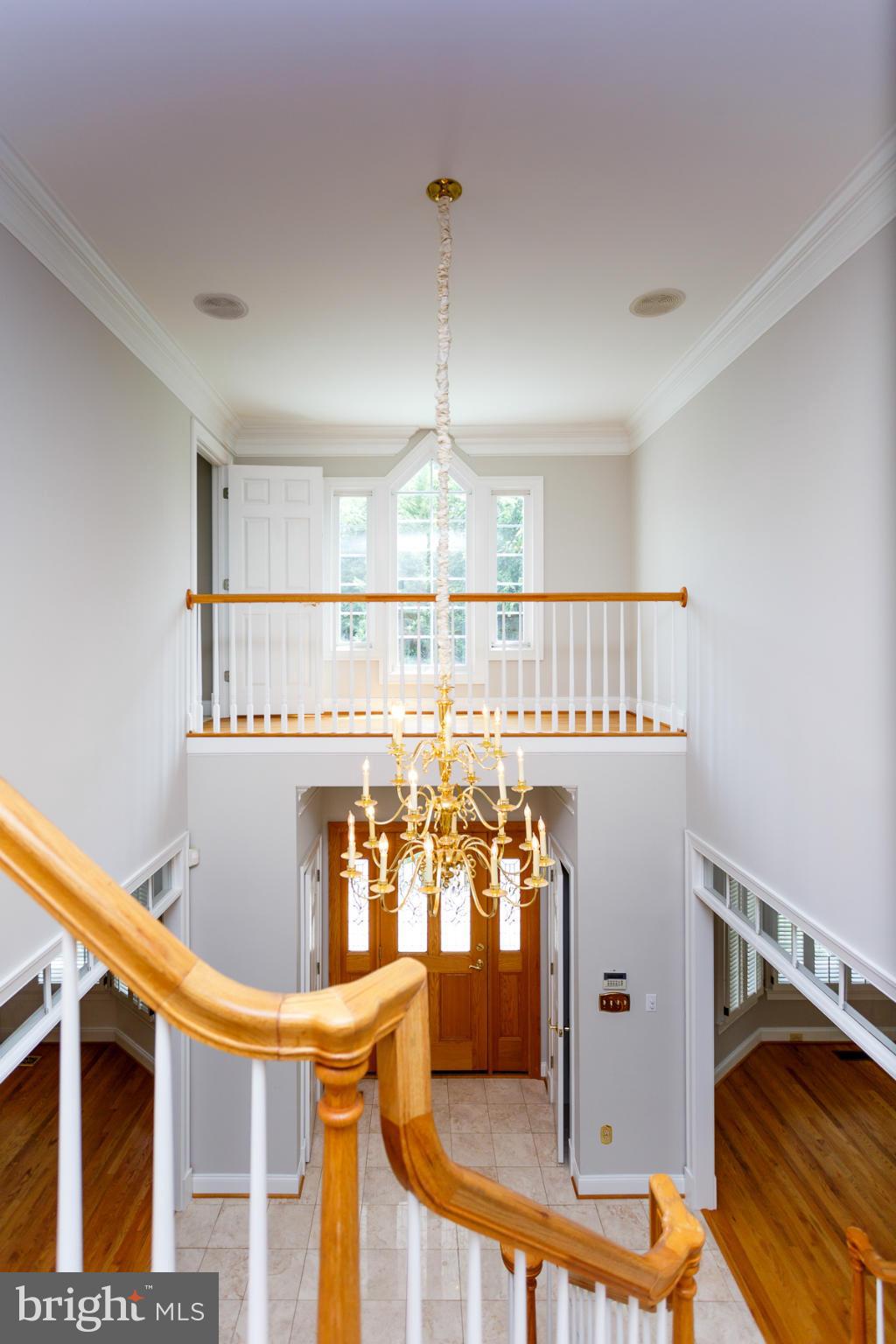 ANGELICA WOODS - Residential