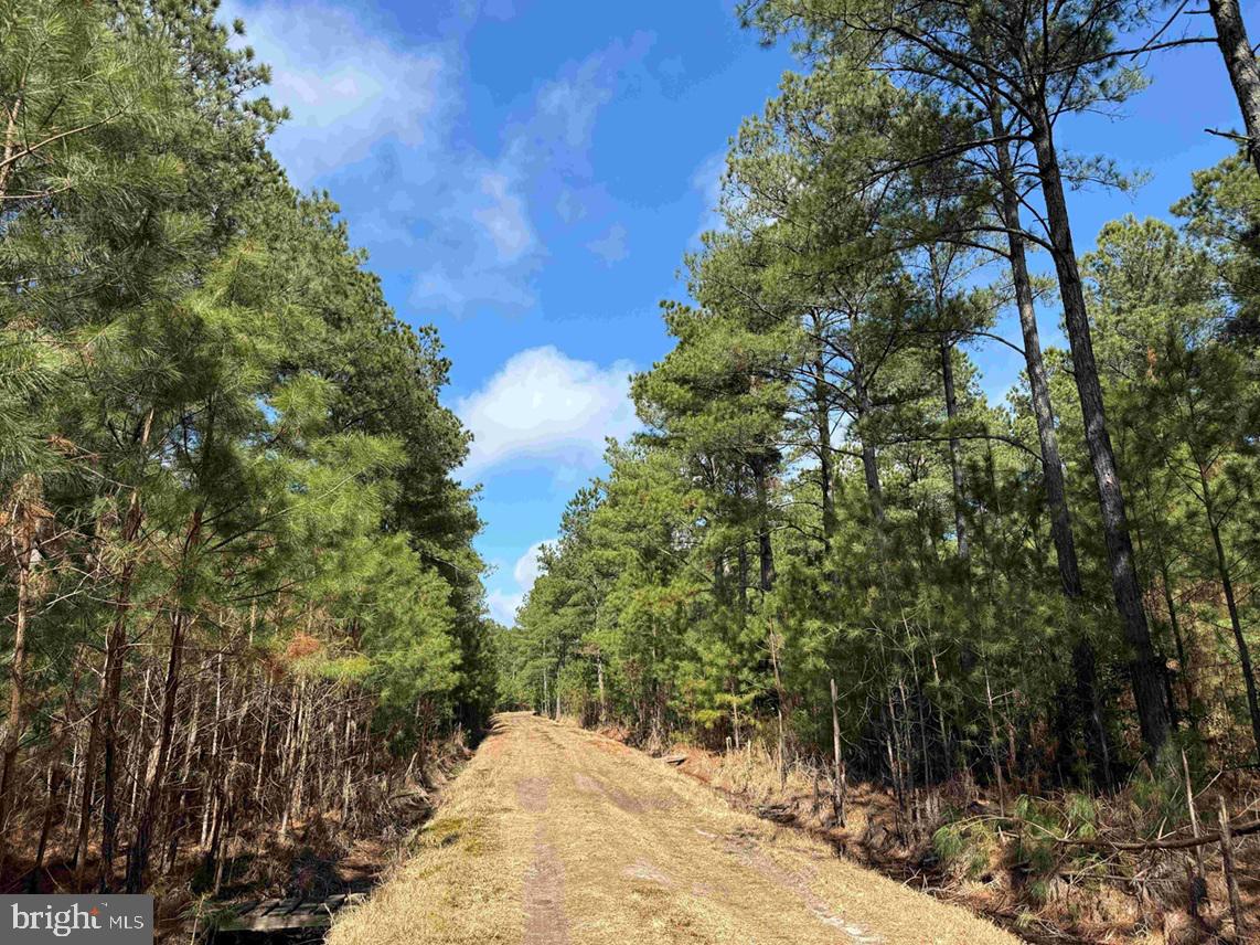 OFF RT. 14 (TRACT TANAGER ET2-2050)