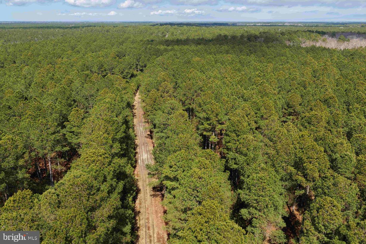 OFF RT. 14 (TRACT TANAGER ET2-2050)