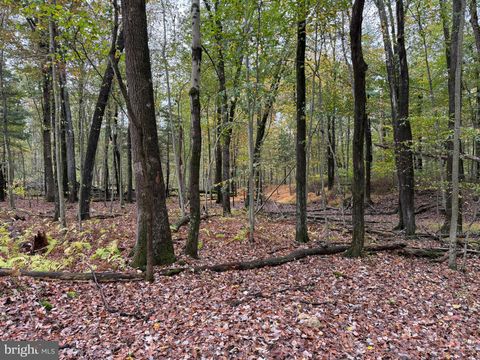 Vacant Land For Sale - E Locust St<br/> Cumberland County, MOUNT HOLLY SPRINGS, PA 17065