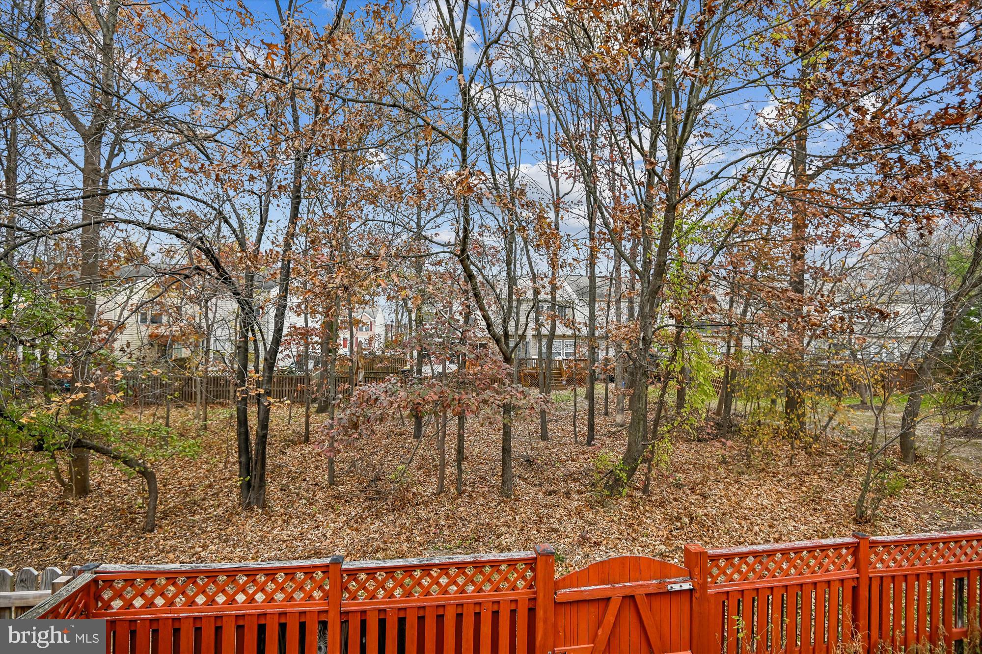 CARRIAGE PINES/LAKE VILL - Residential