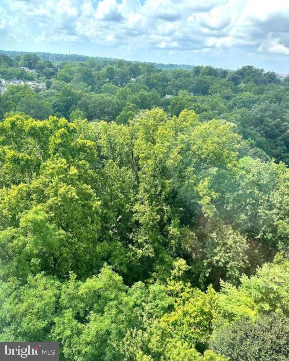 FRIENDSHIP HEIGHTS - Residential