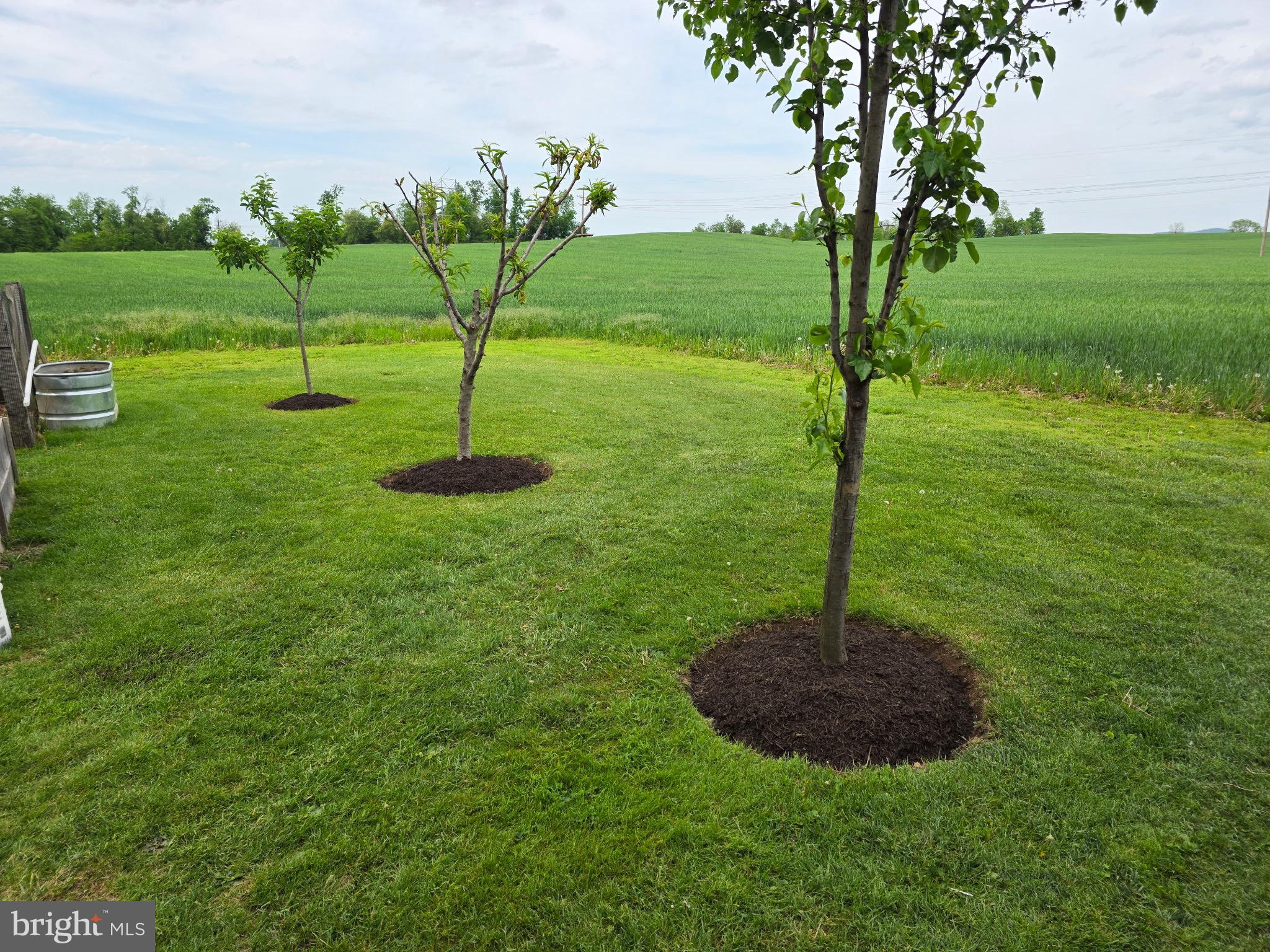 WALKER ROAD - Residential
