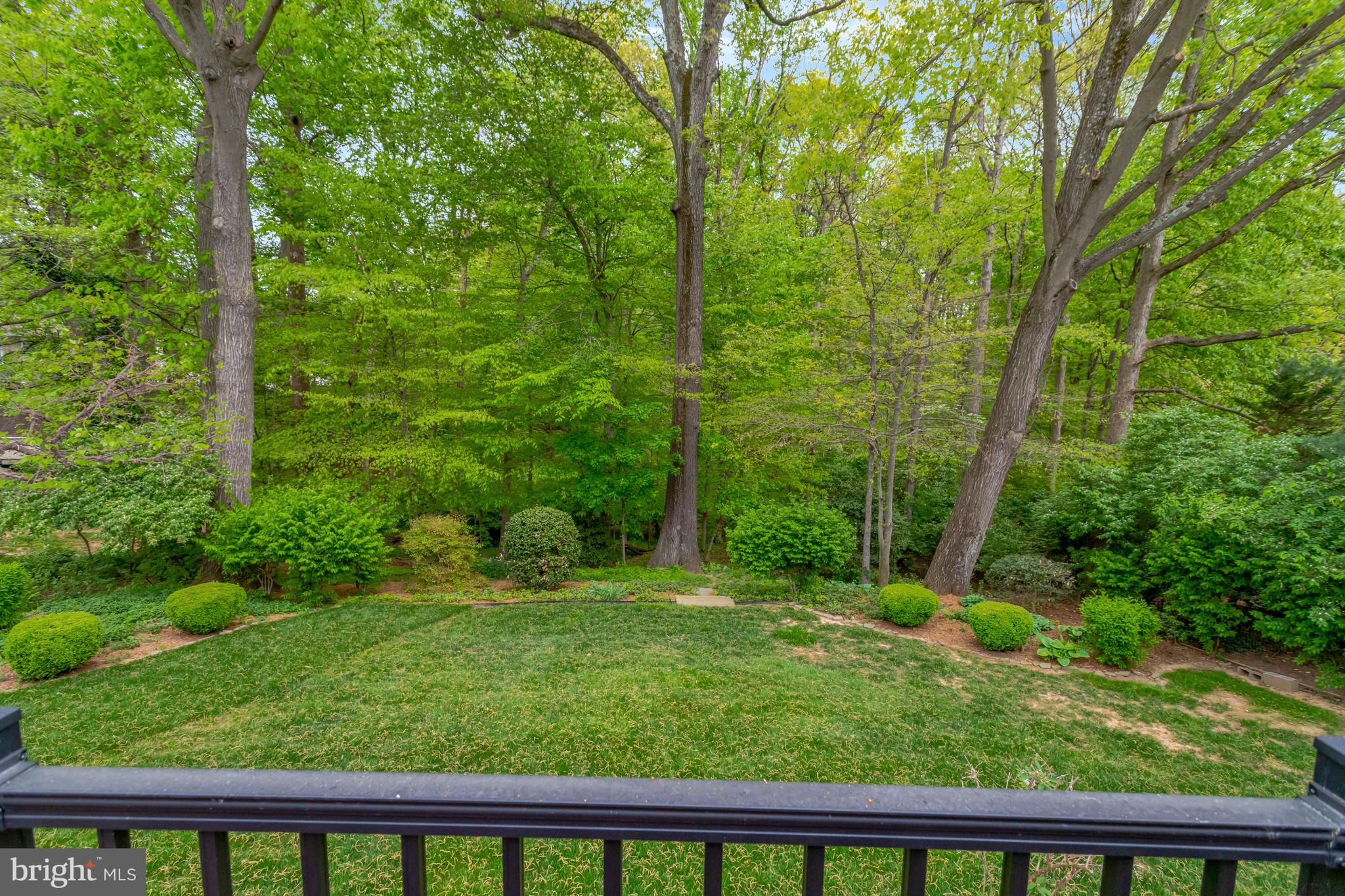 CARDINAL FOREST - Residential