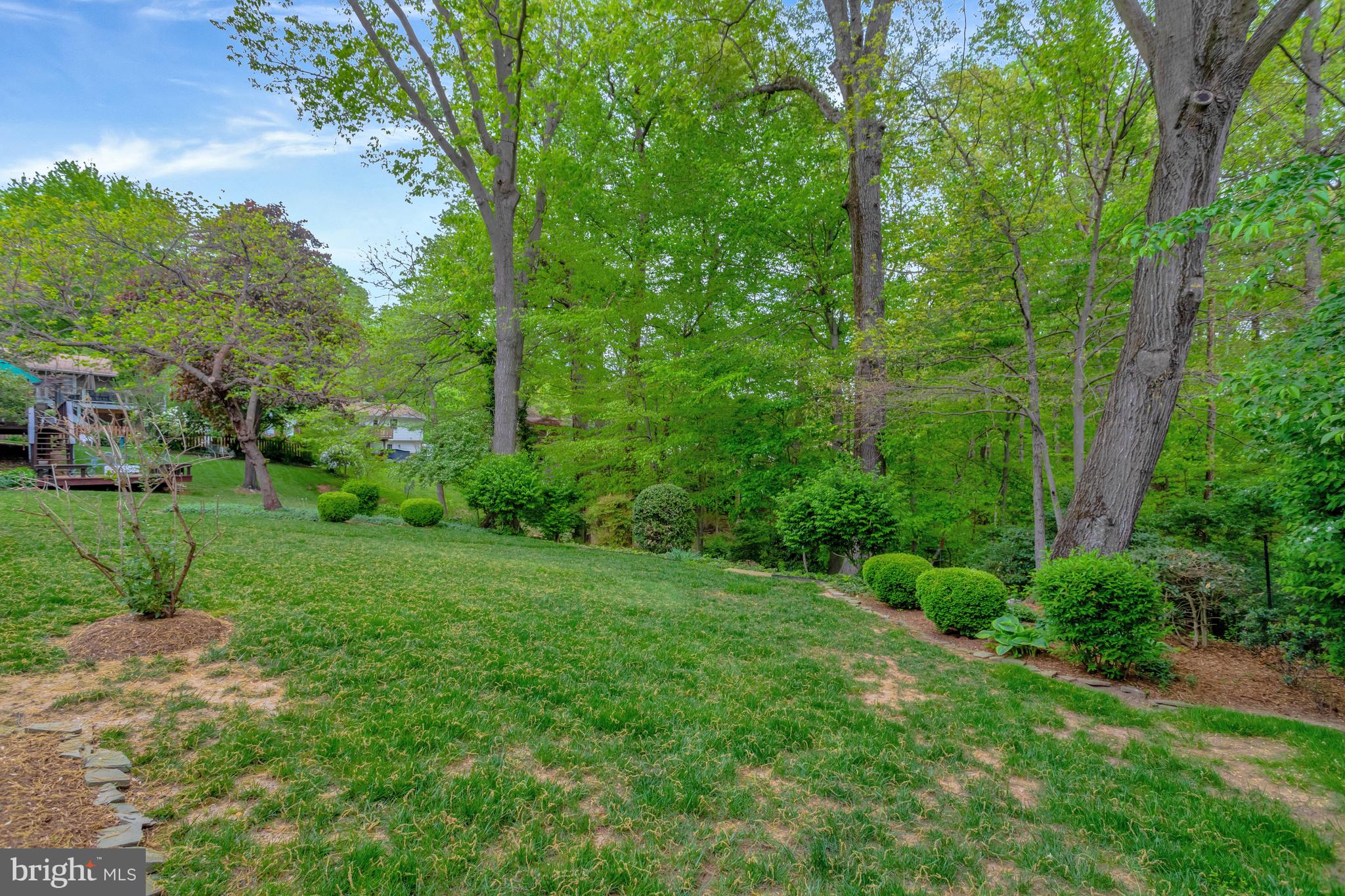 CARDINAL FOREST - Residential