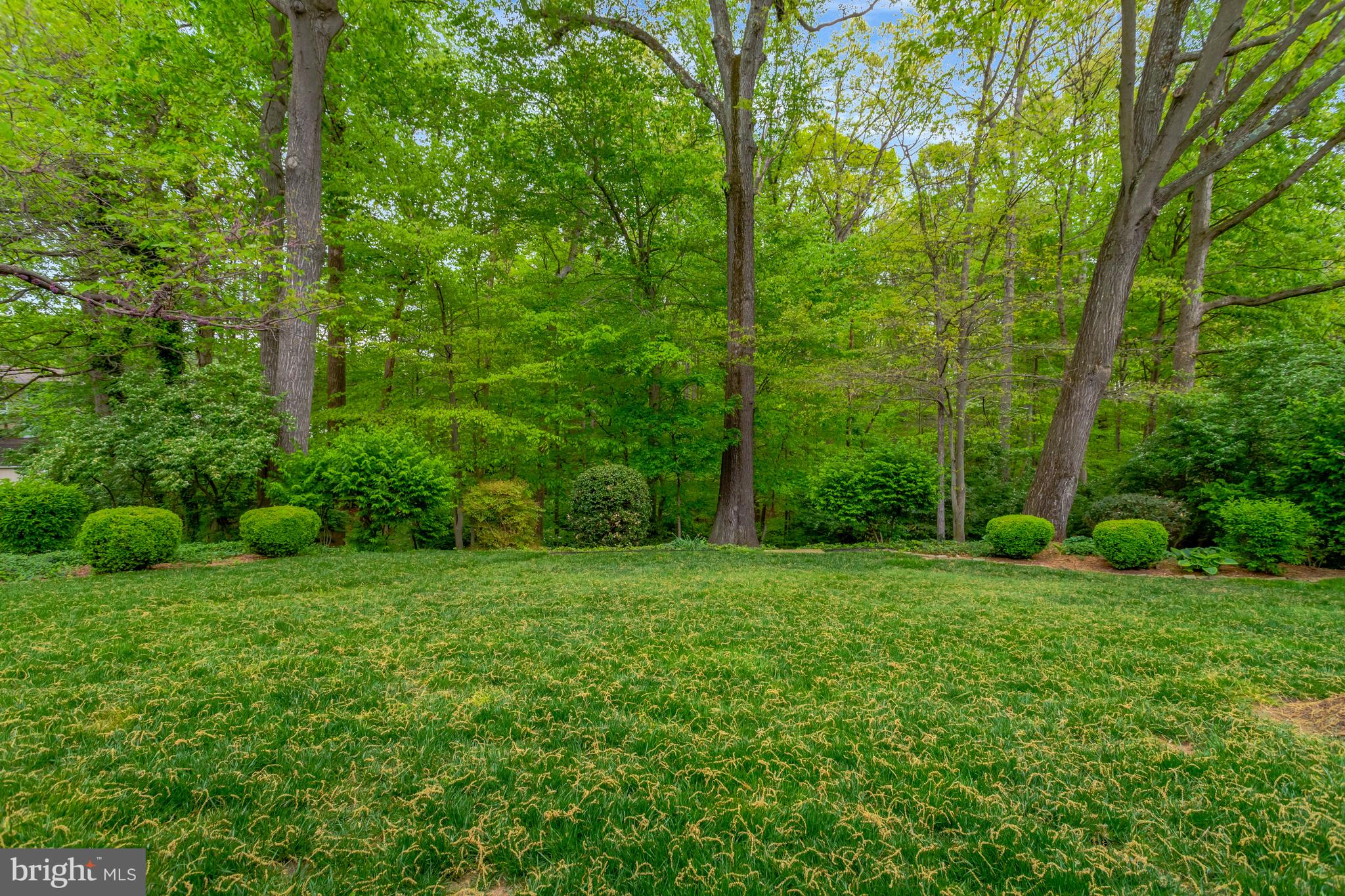 CARDINAL FOREST - Residential