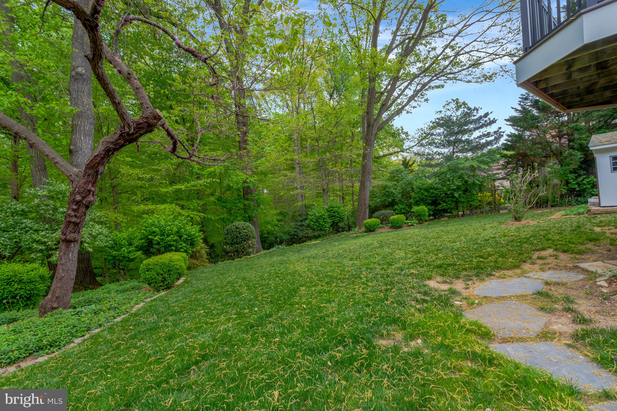 CARDINAL FOREST - Residential