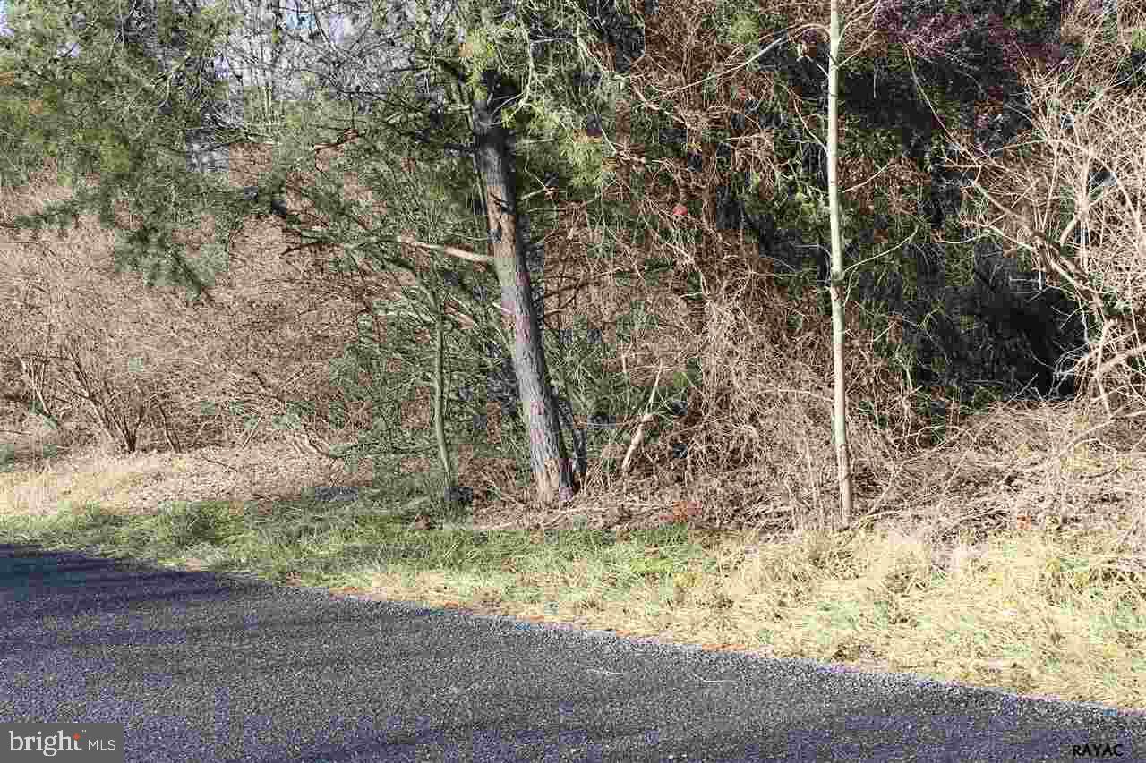 Level, wooded, perc approved 1 acre parcel ready for your new home! Septic design and permit included. Use builder of your choice. Dual road frontage (781 McGlaughlin Road & 23 Rist Trail). Lots have not yet been assessed as an individual property. Great location for commuters, close to skiing, golfing, just outside of historic Gettysburg.