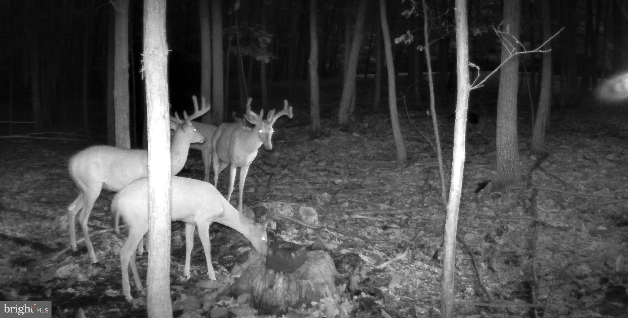 SOUTHAMPTON TWP - Residential