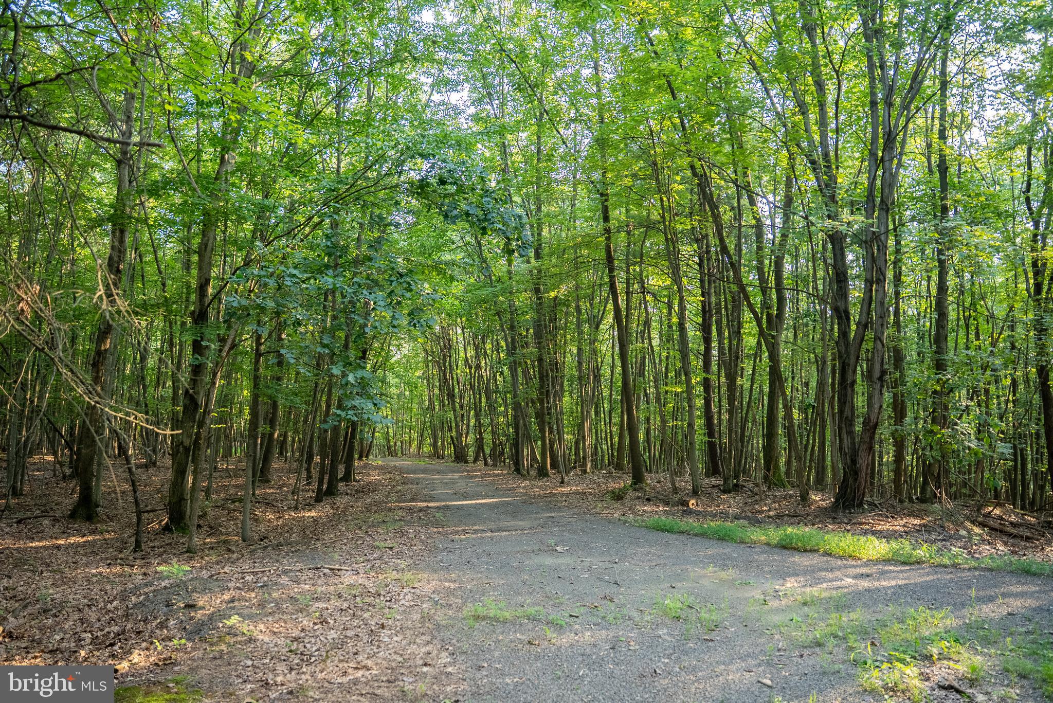 SOUTHAMPTON TWP - Residential