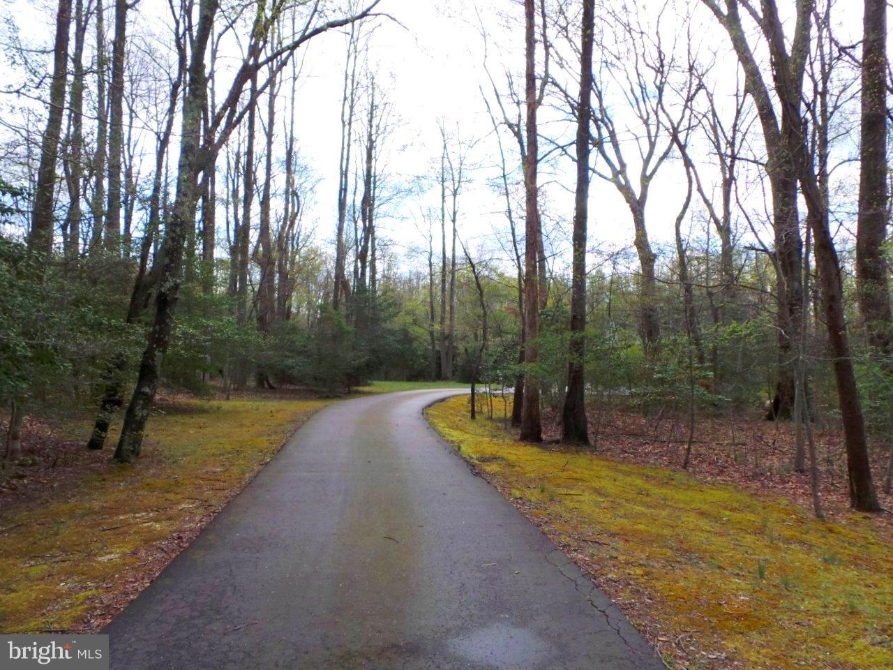 TRUEMAN POINTE - Residential