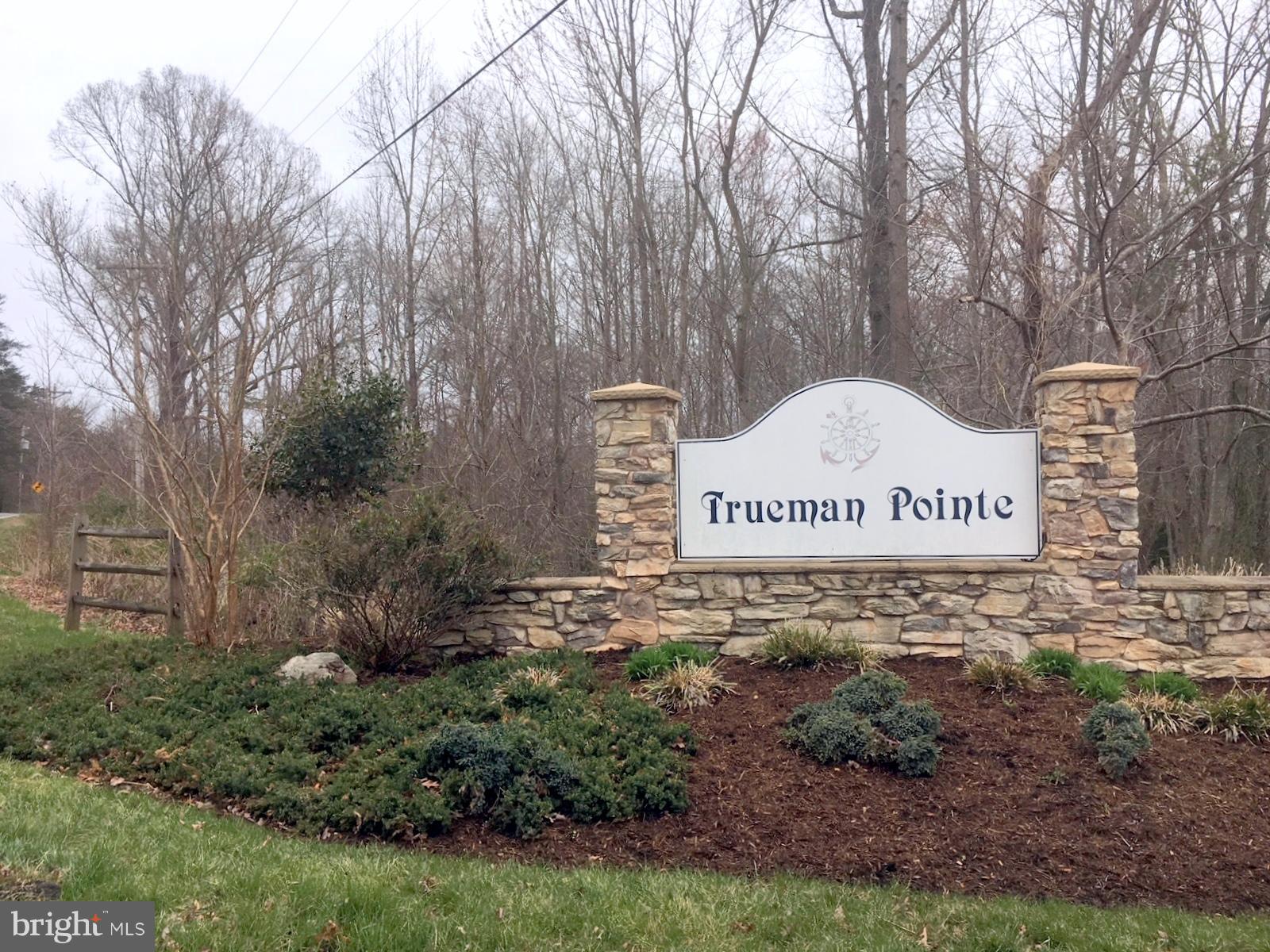 TRUEMAN POINTE - Residential