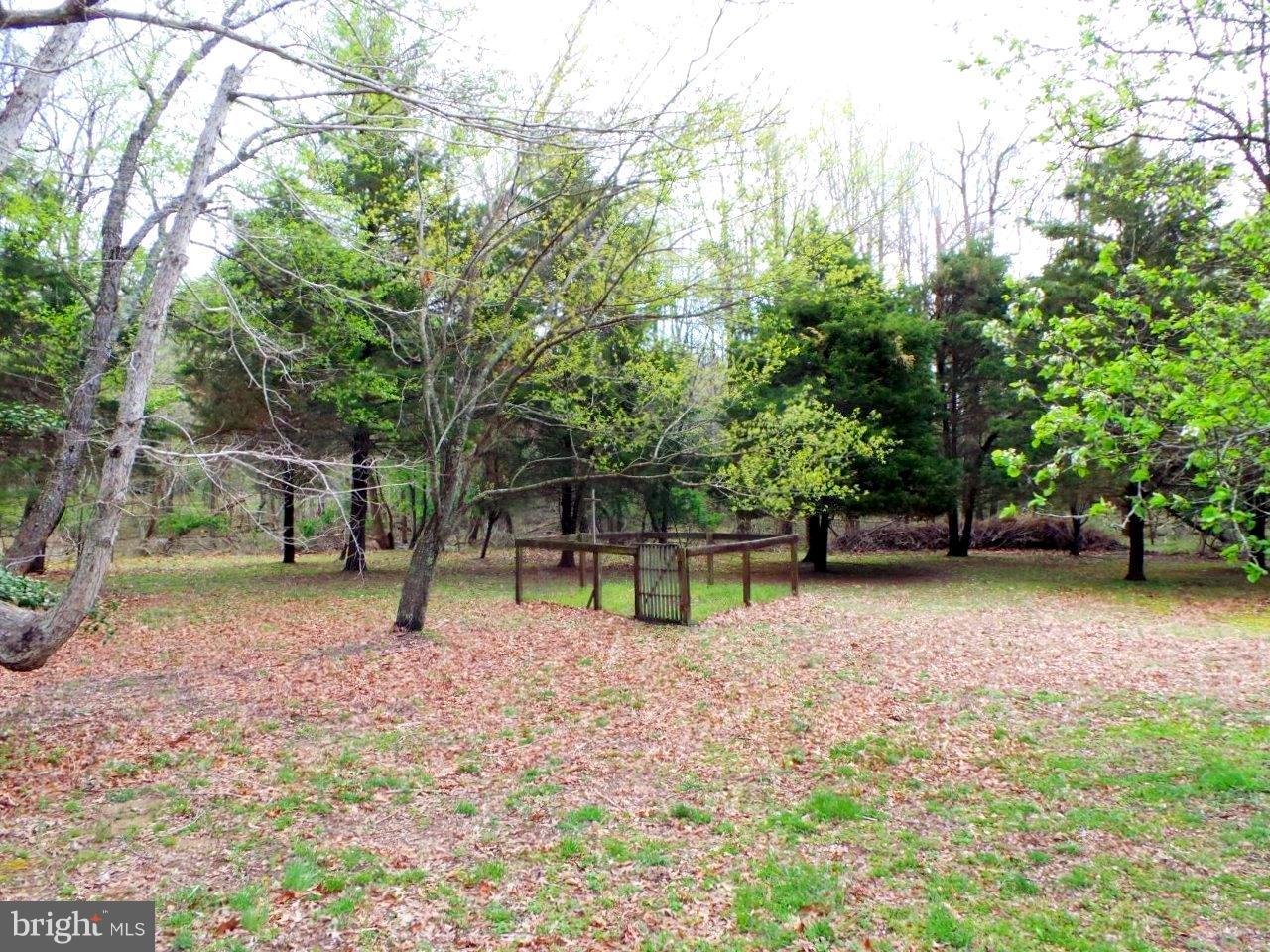 TRUEMAN POINTE - Residential