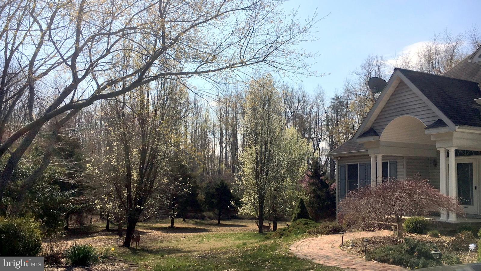 TRUEMAN POINTE - Residential