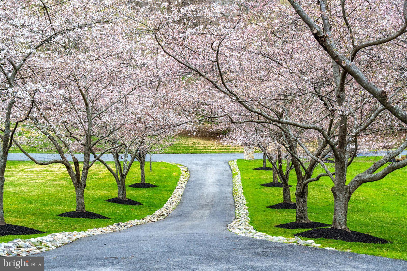 SHORE ACRES - Residential