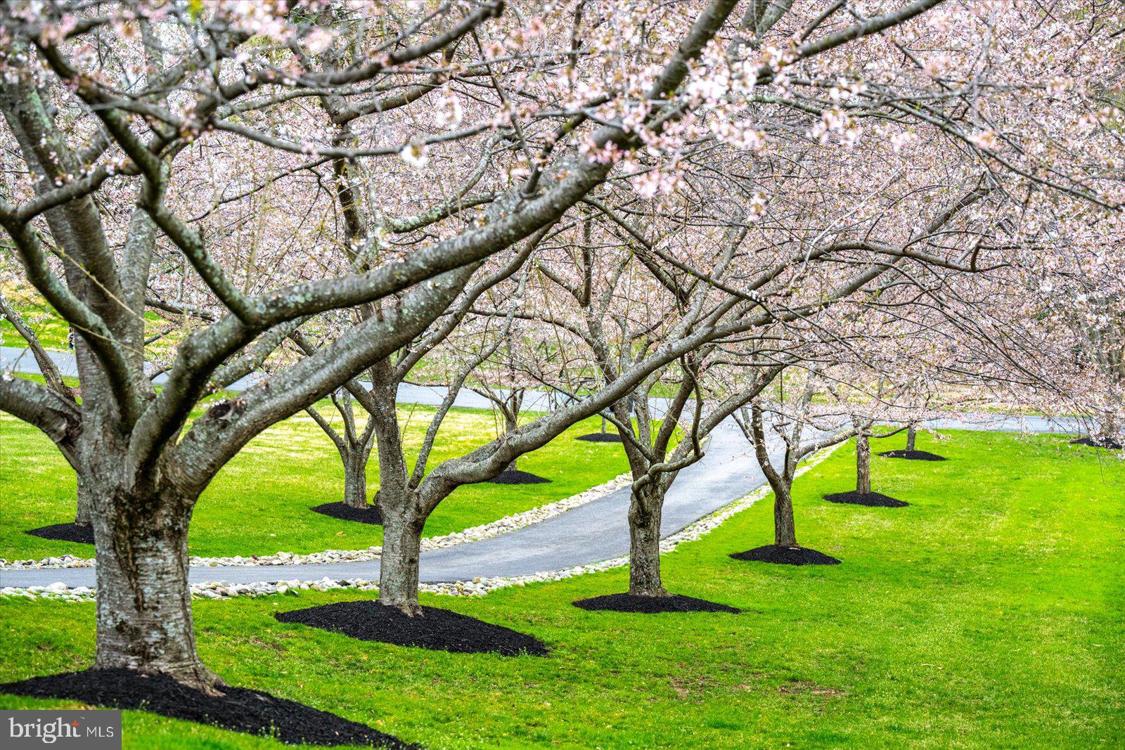 SHORE ACRES - Residential