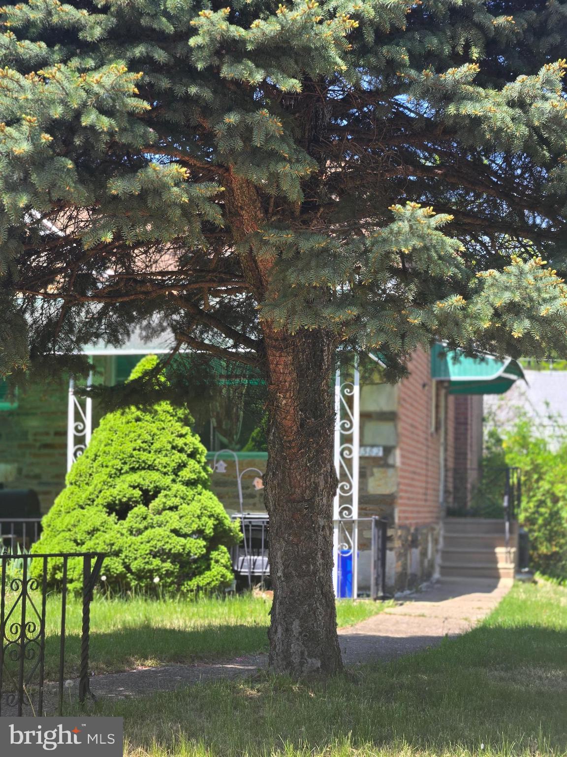 FOX CHASE - Residential