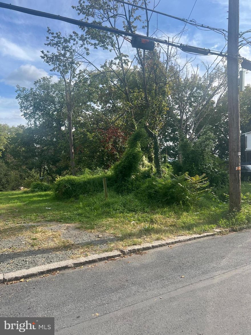 Vacant Lot(s) for Sale. Can be sold with adjoining lots 1185, 1187, 1193, 1195, 1197, 1199, 1203, and 1205. Seller is ready to sell. Zoned residential.