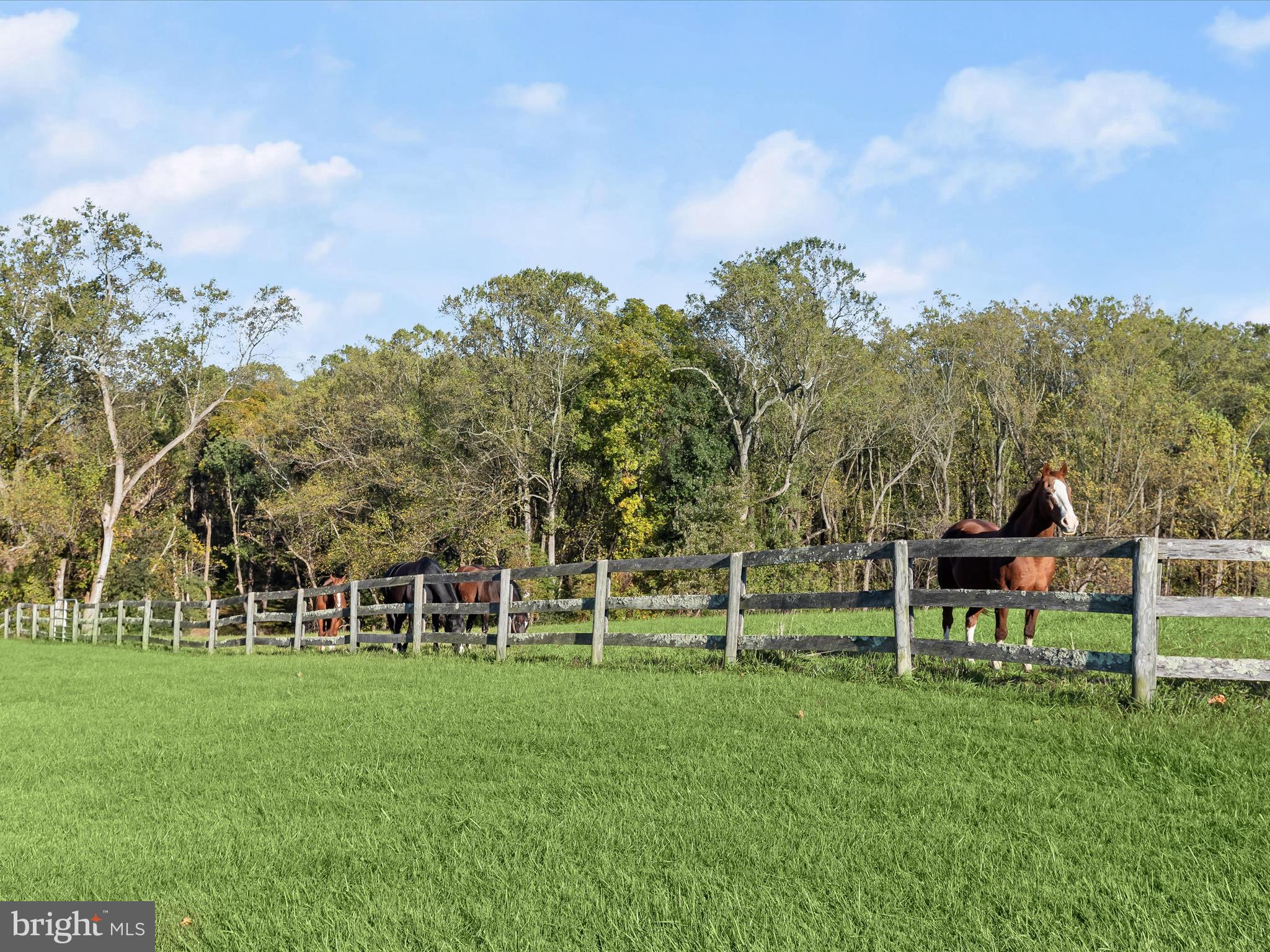 BOXWOOD - Residential