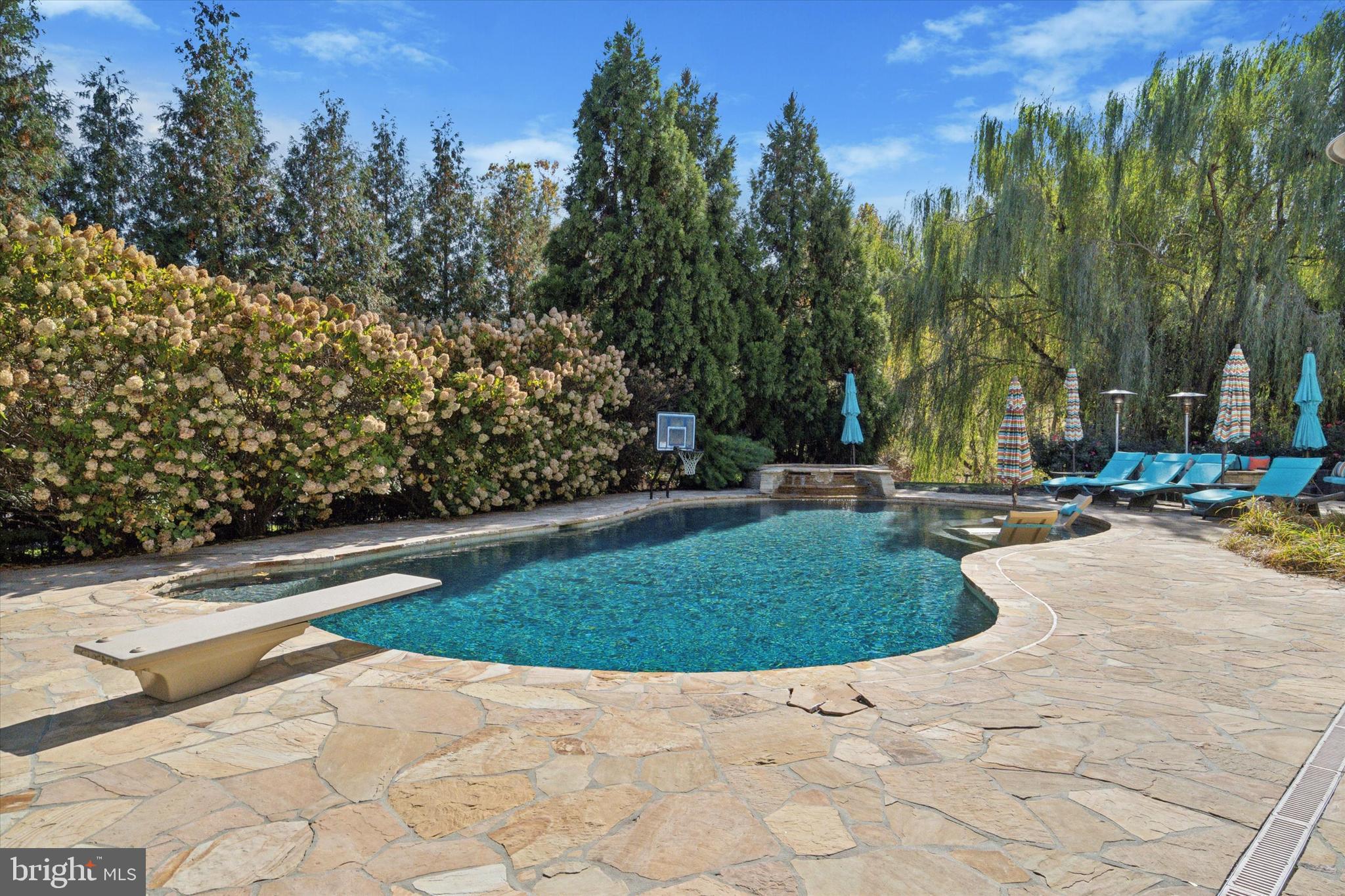 THE RESERVE - Residential