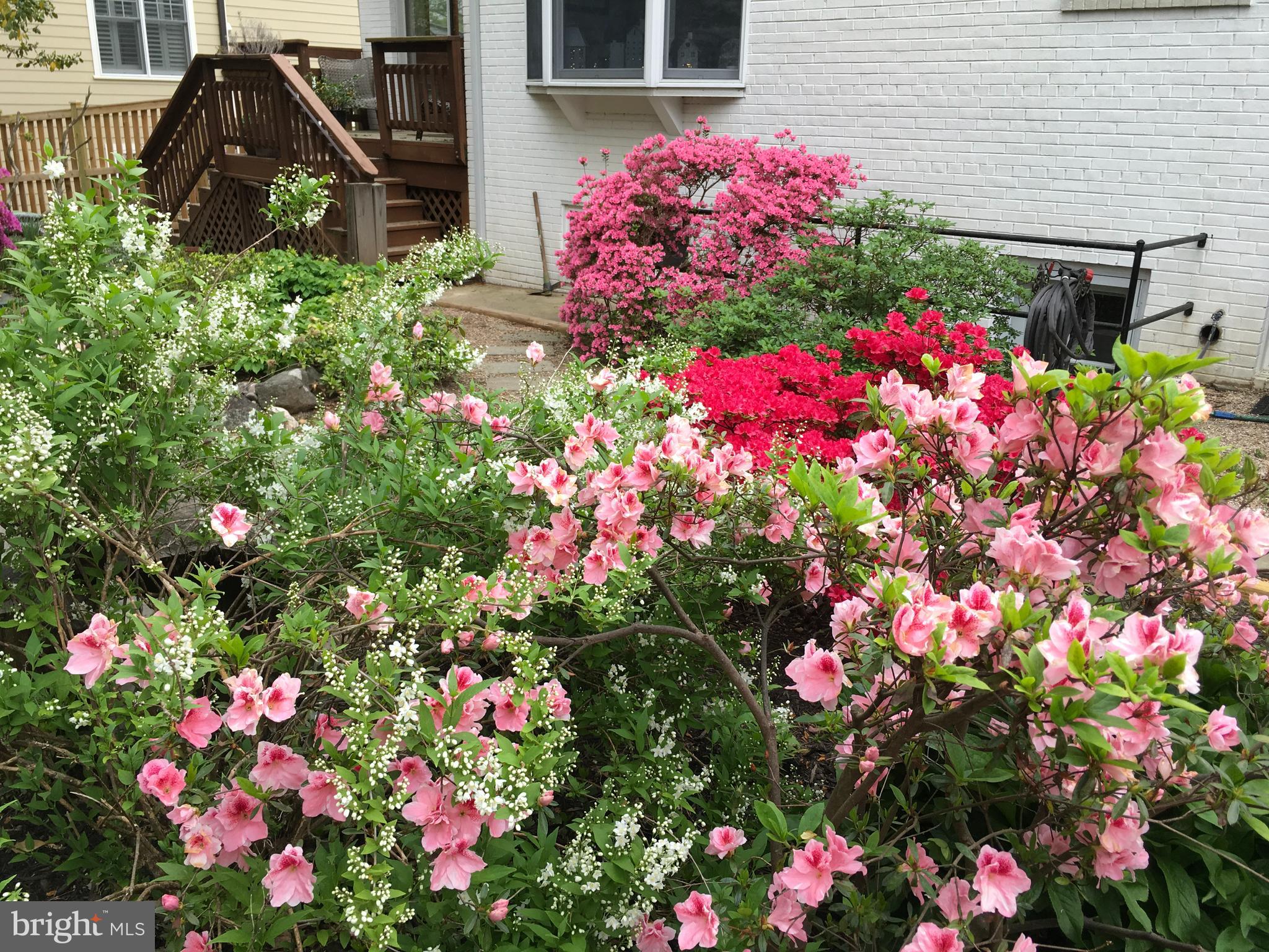 WOODHAVEN - Residential Lease