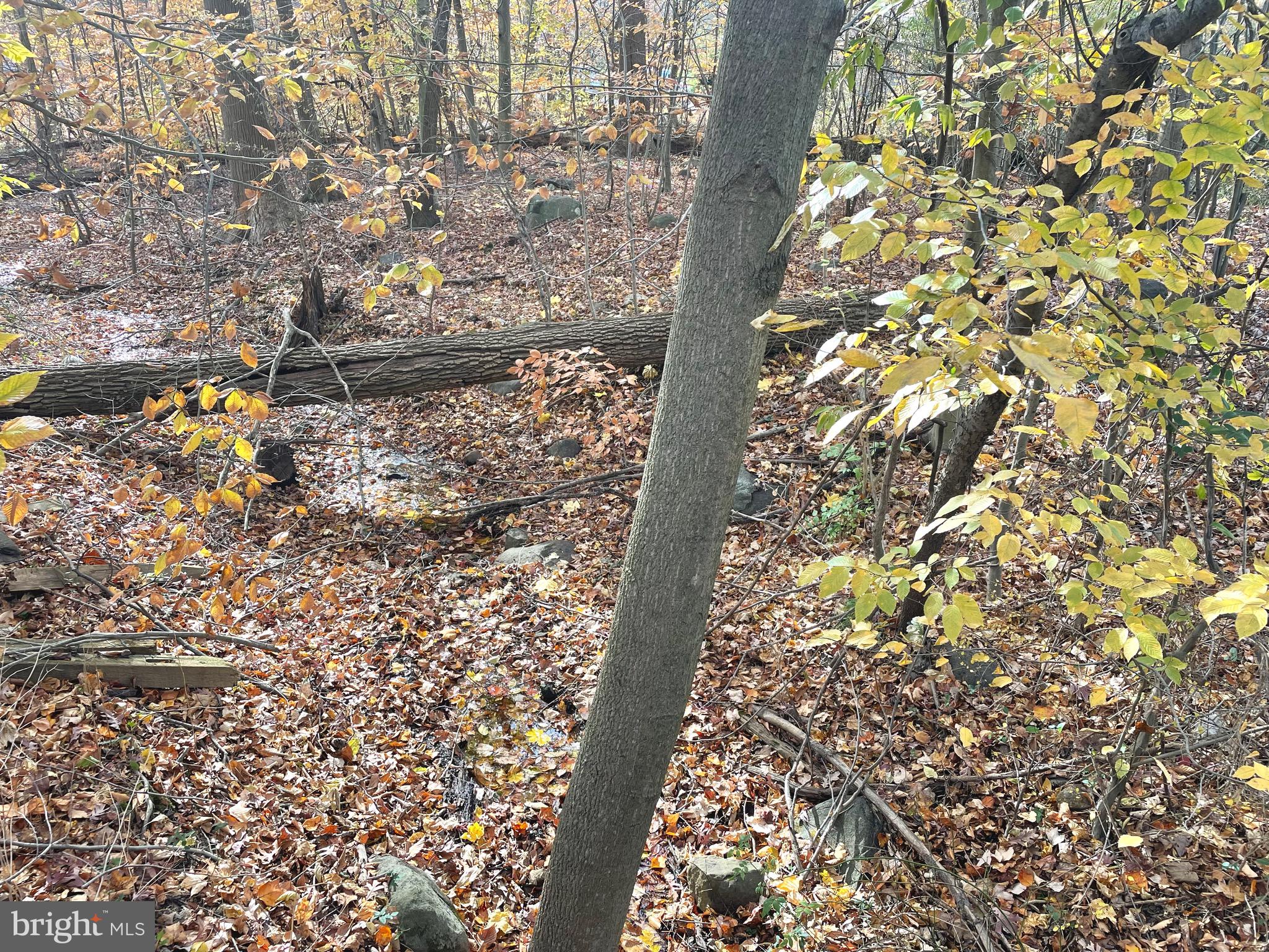 HIDDEN CREEK - Residential